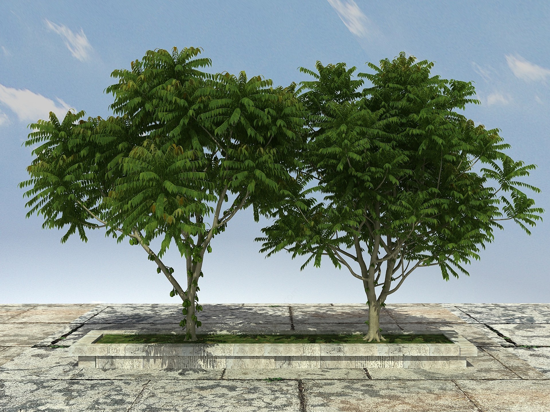 有层次植物3D模型