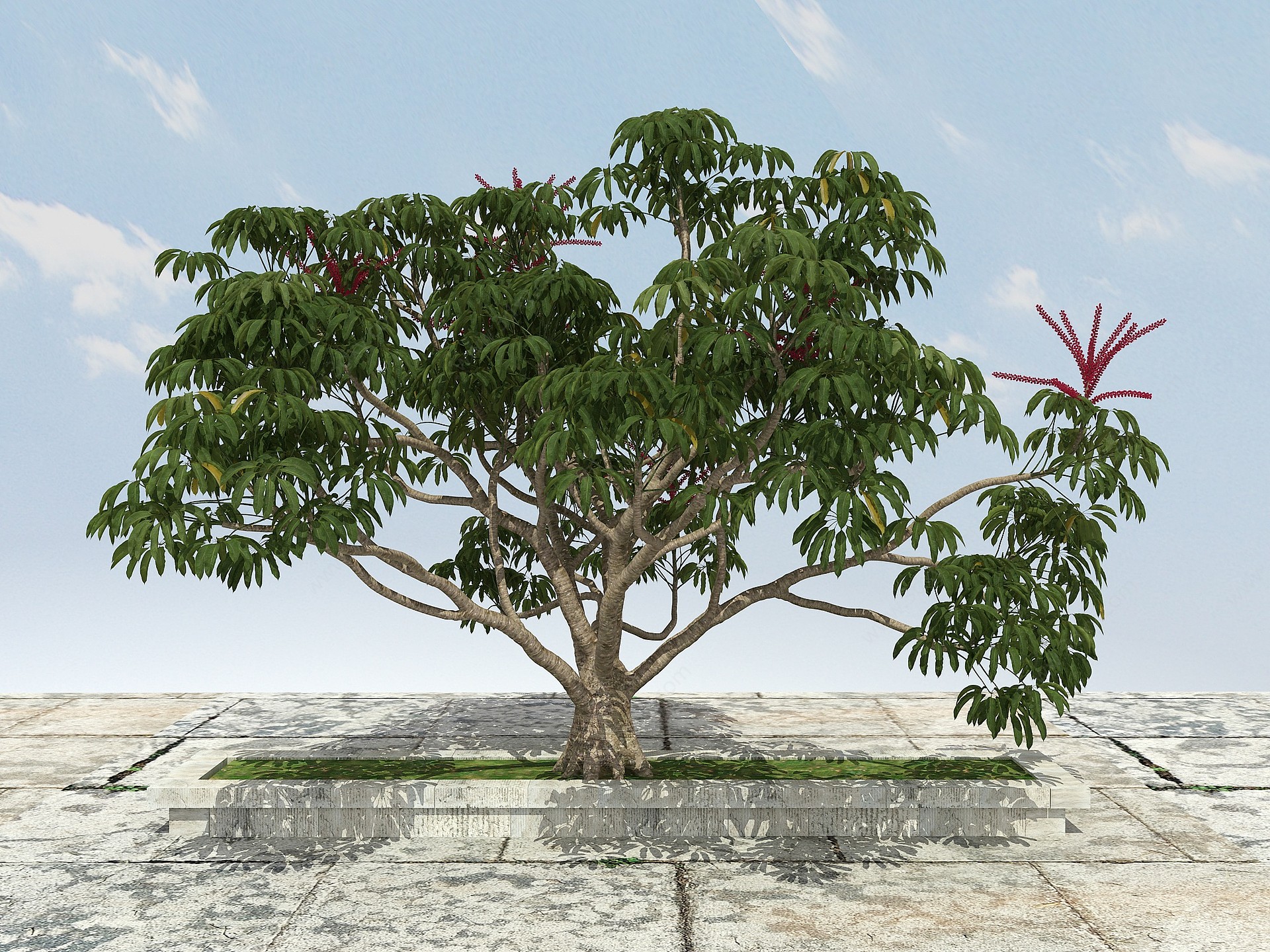 有形开花景观植物3D模型