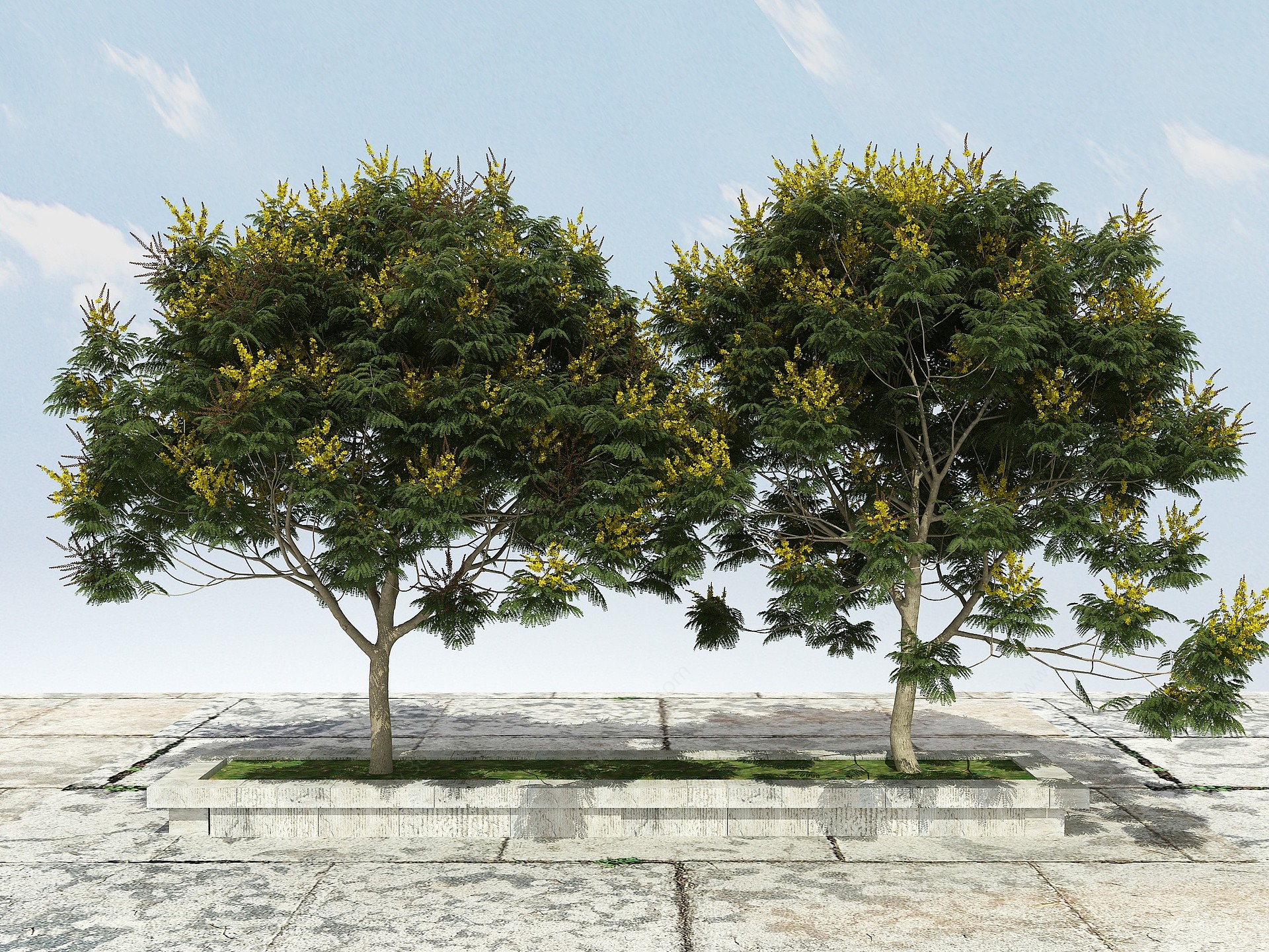 有形开花景观植物3D模型