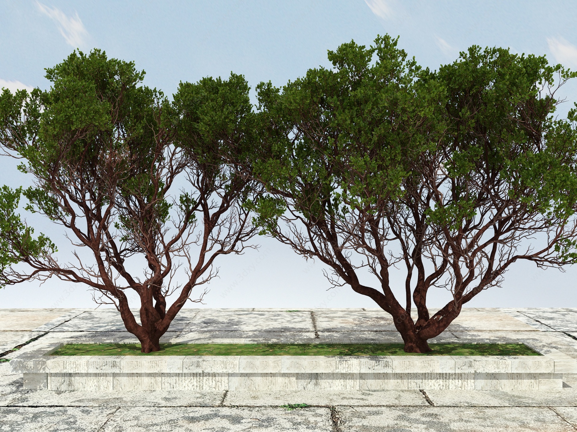 有造型景观大植物3D模型