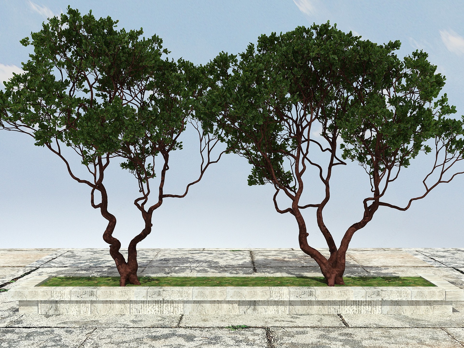 有造型景观大植物3D模型