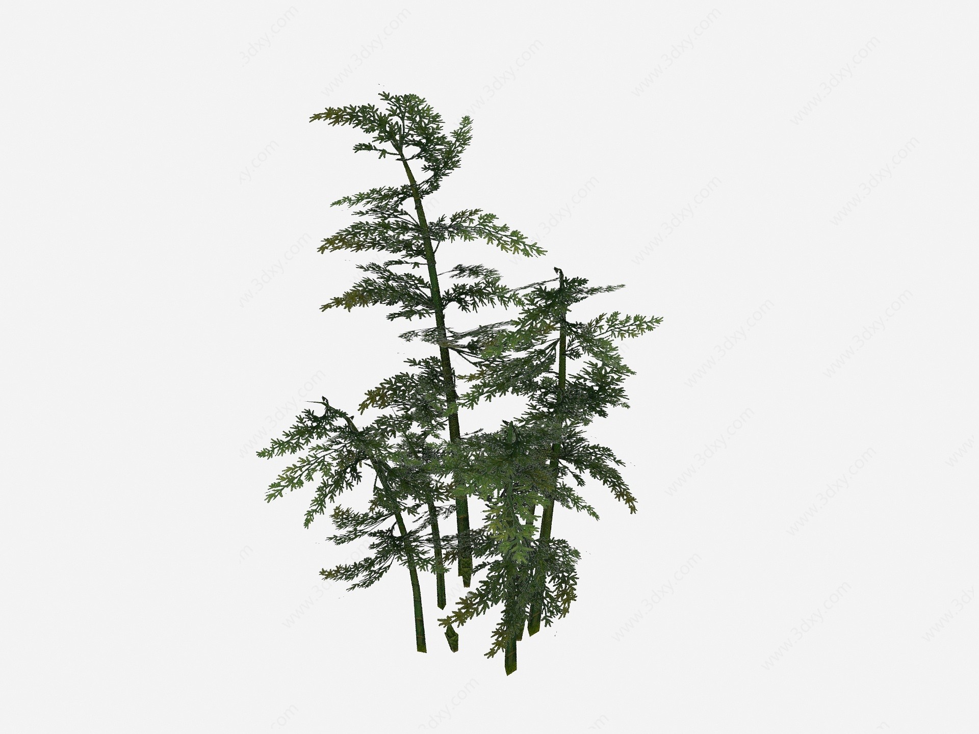 现代植物竹子树木3D模型