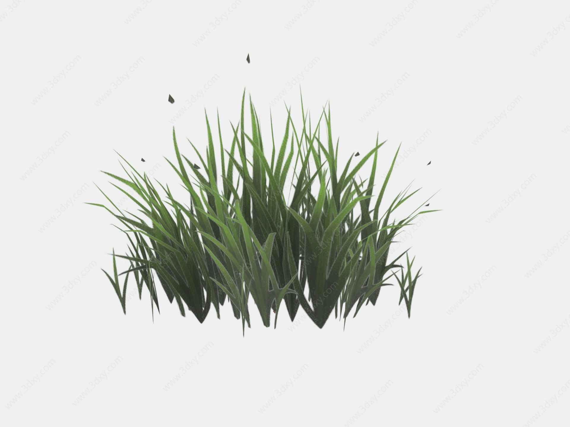 现代植物花草杂草3D模型