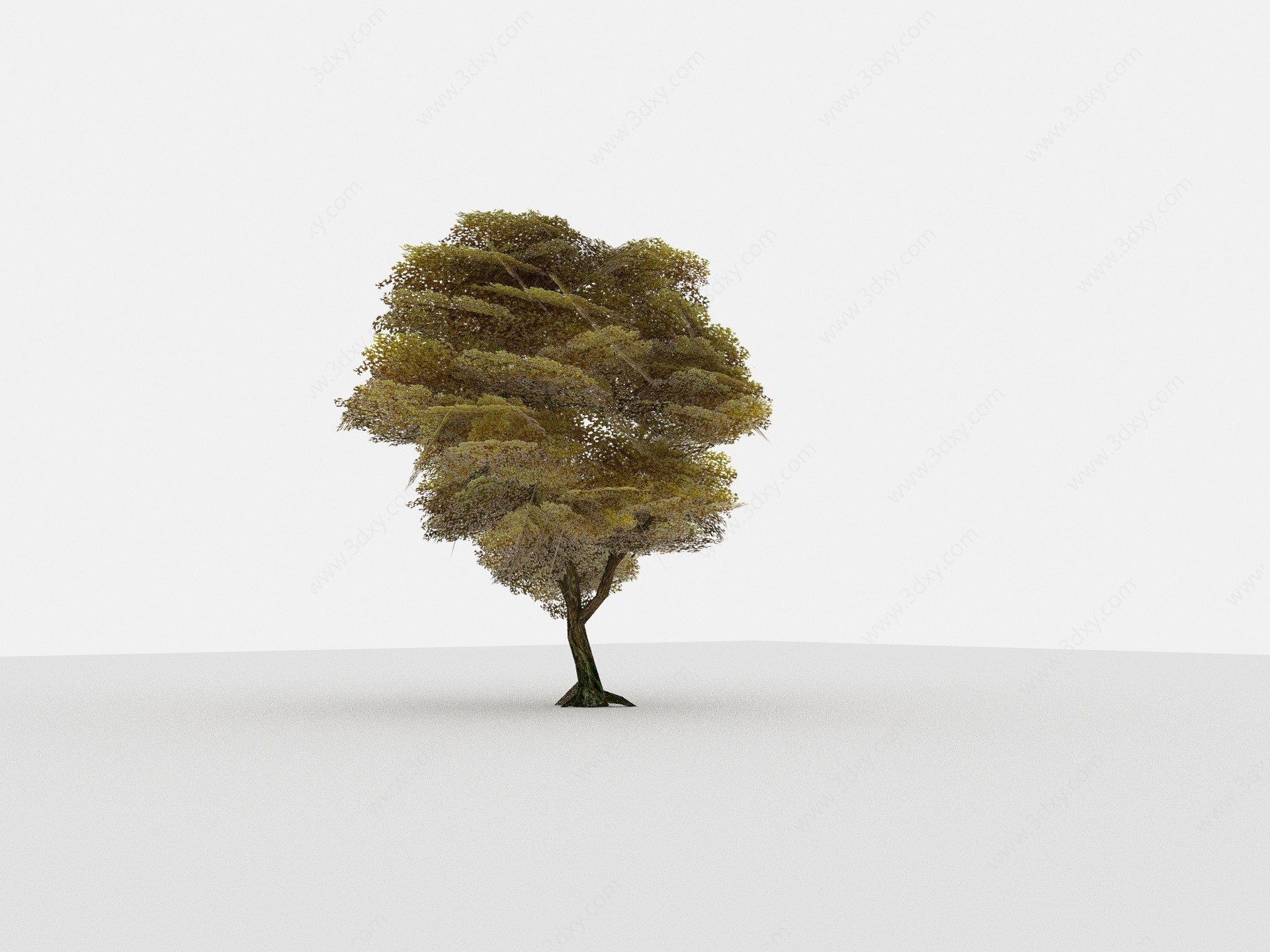 现代植物树木小矮树3D模型