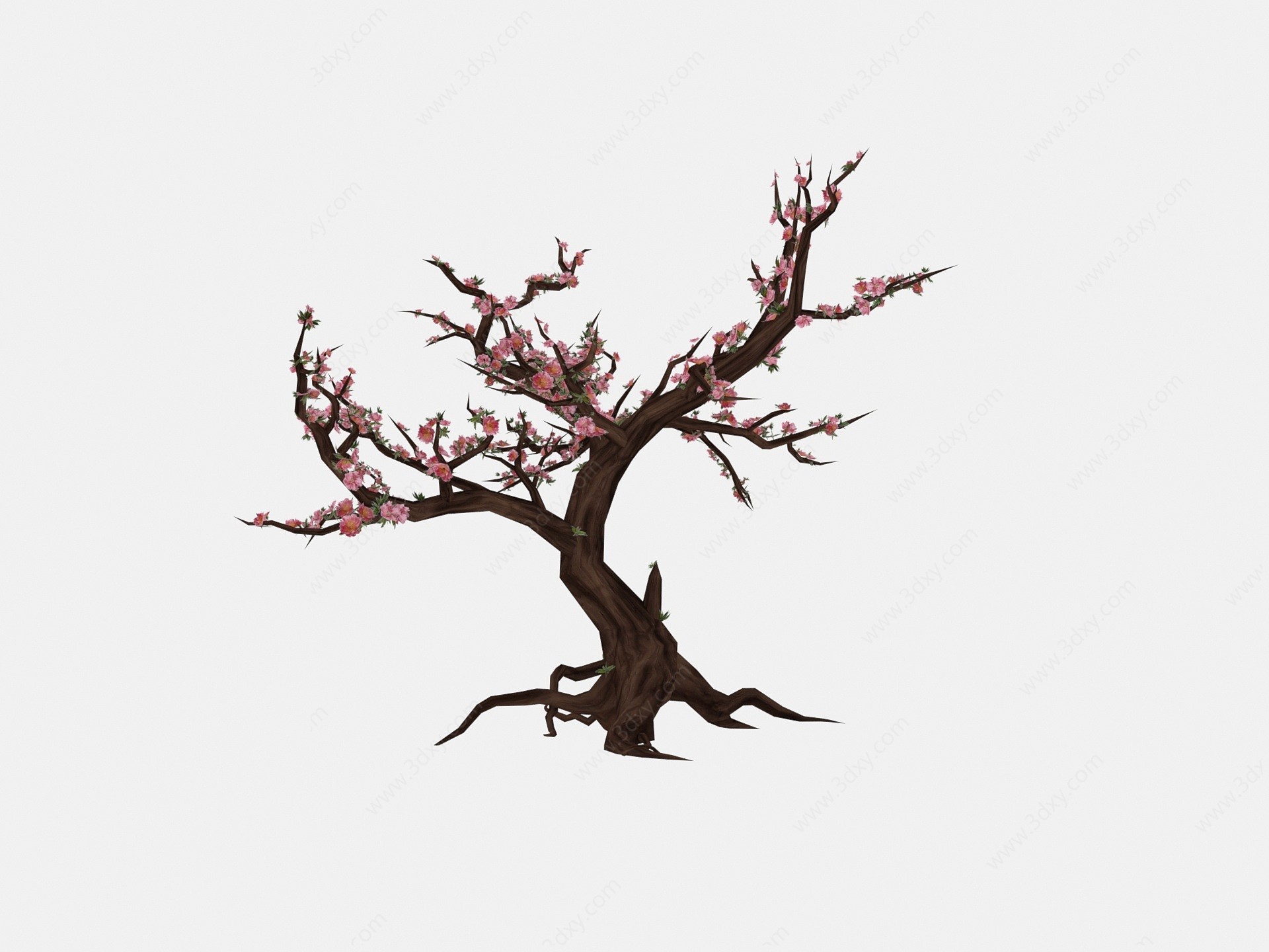现代植物桃花树木3D模型