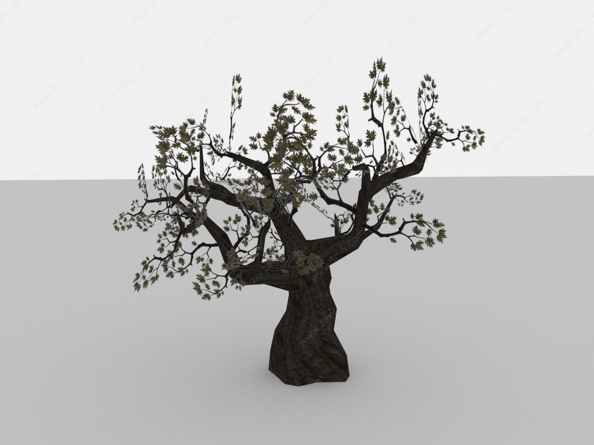 现代植物矮树树木3D模型