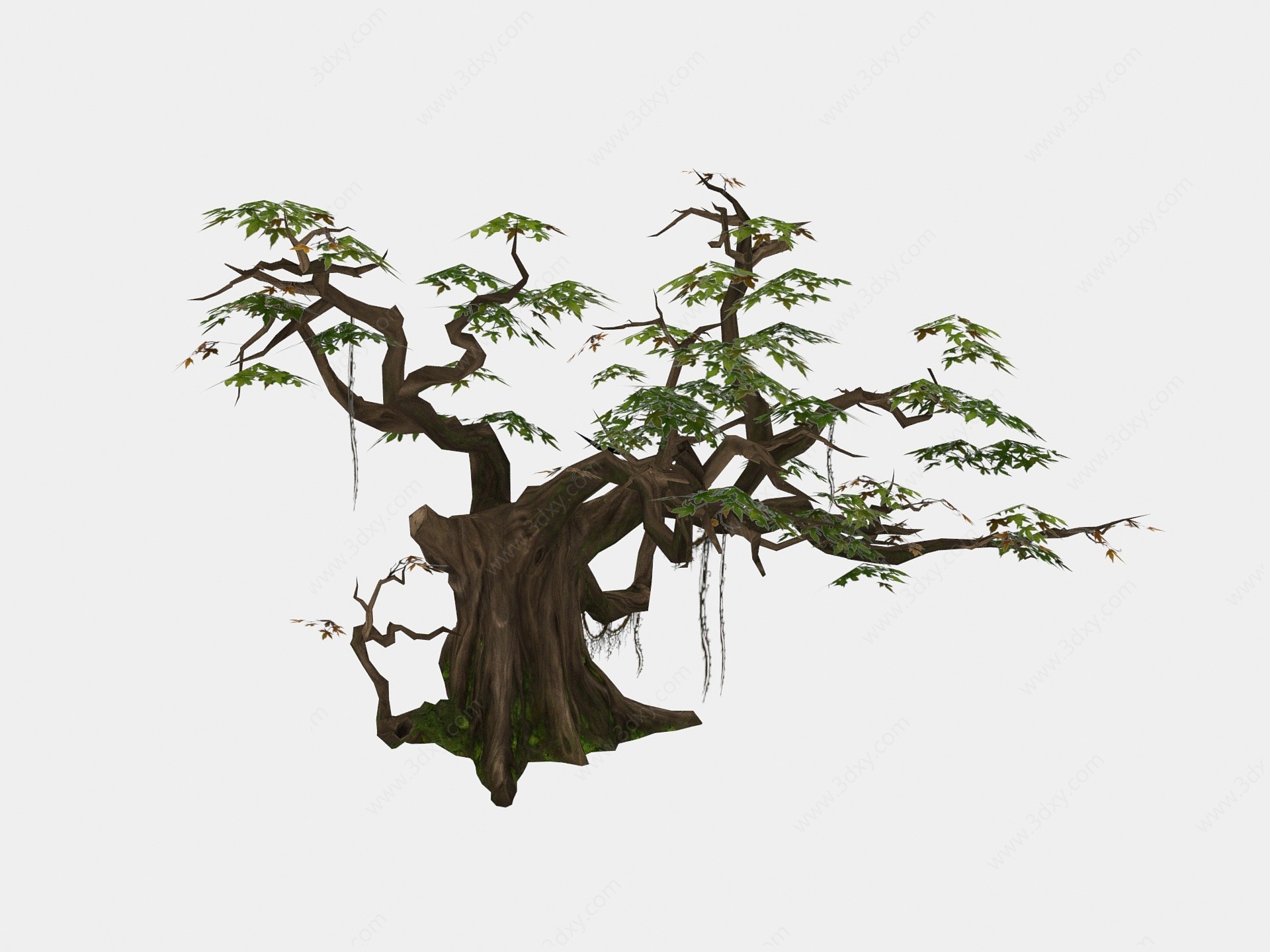 现代植物小藤树木3D模型