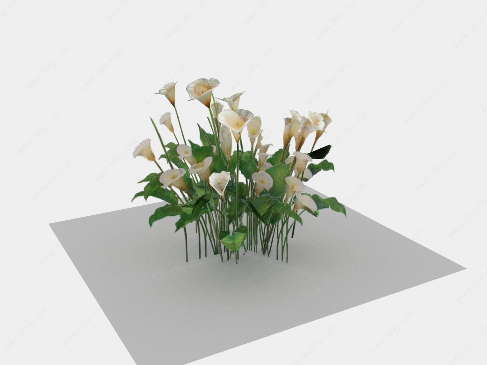 现代植物小花花草3D模型