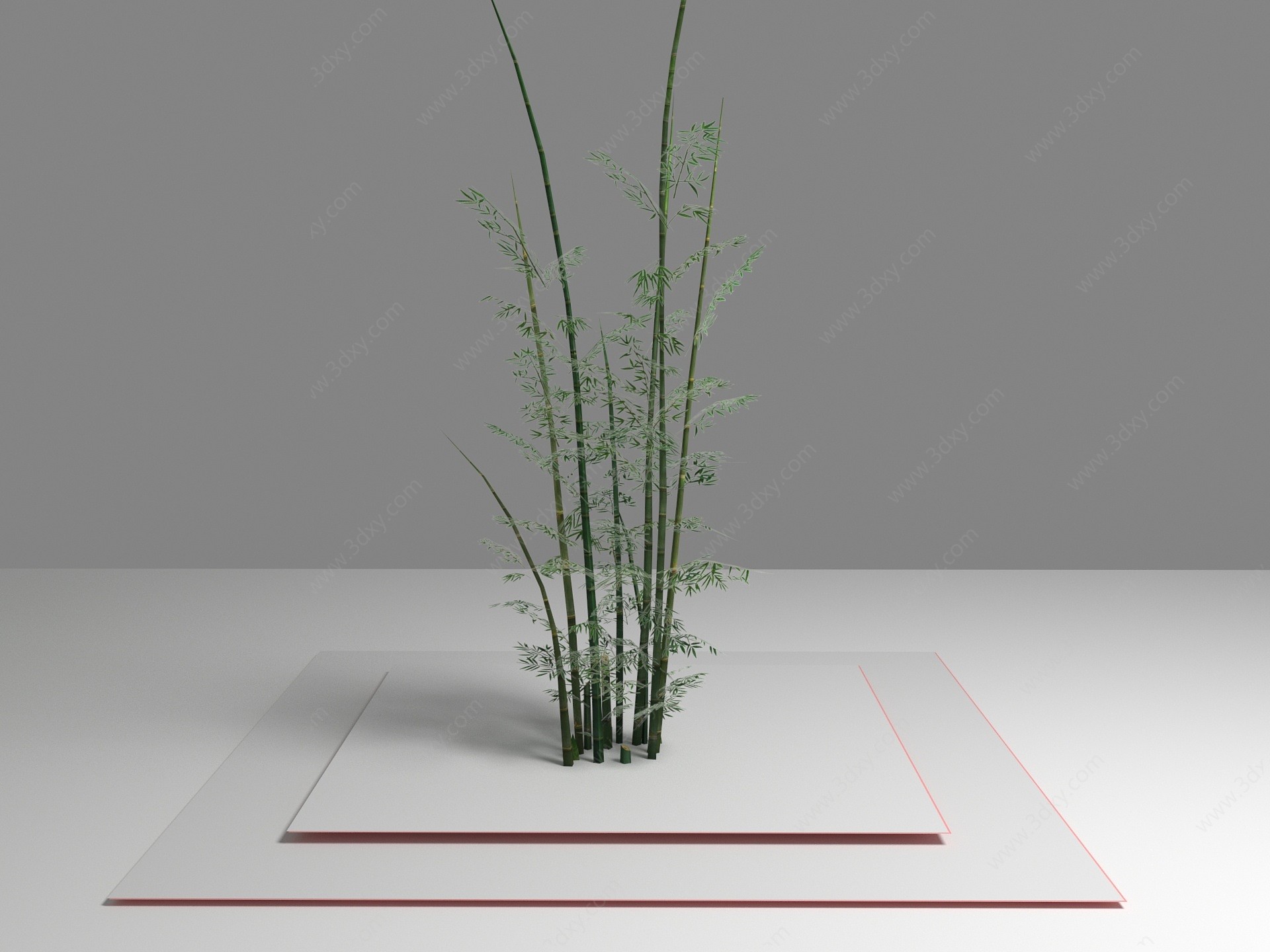 现代植物断竹子3D模型
