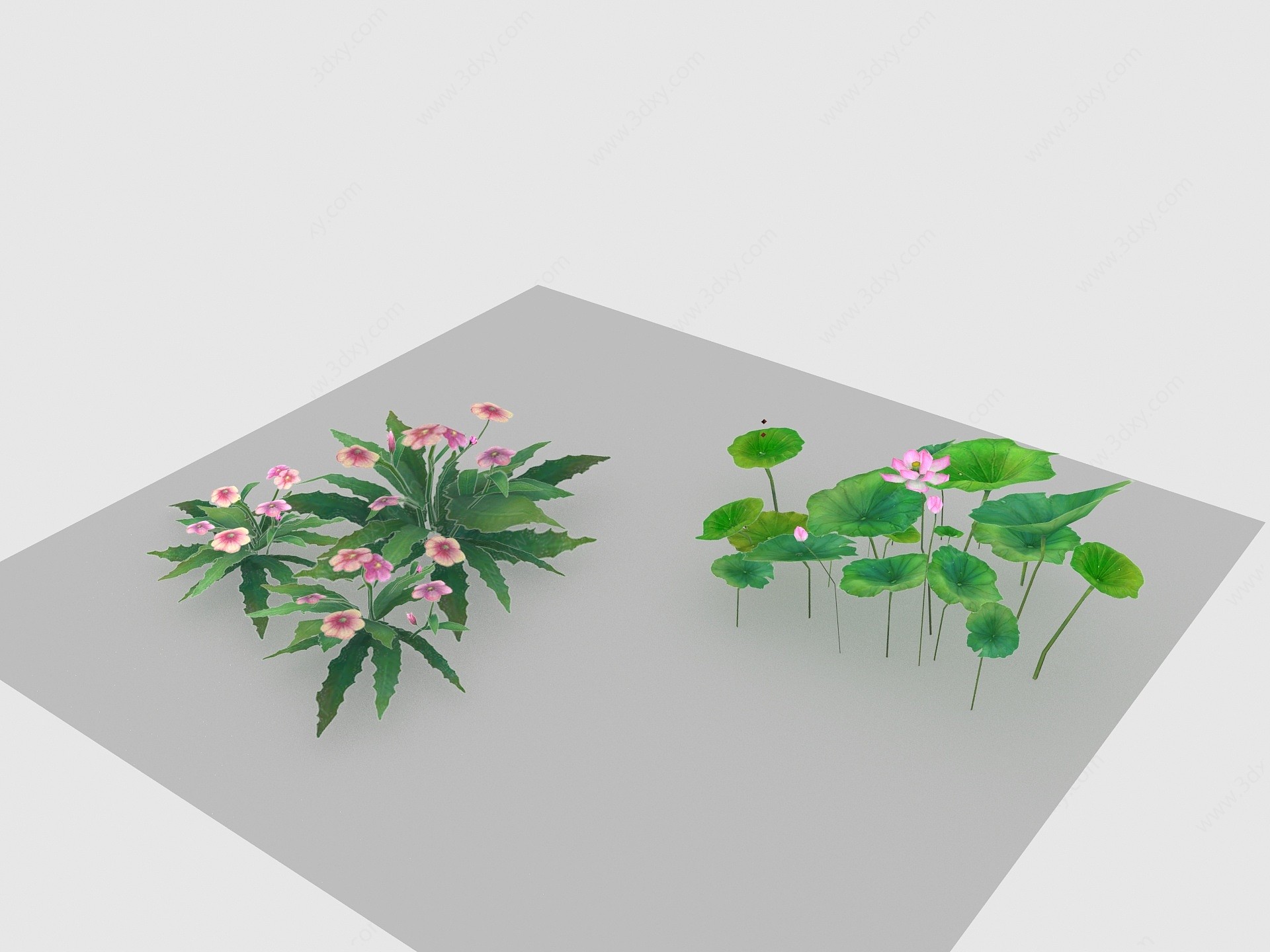 现代植物路边野花3D模型