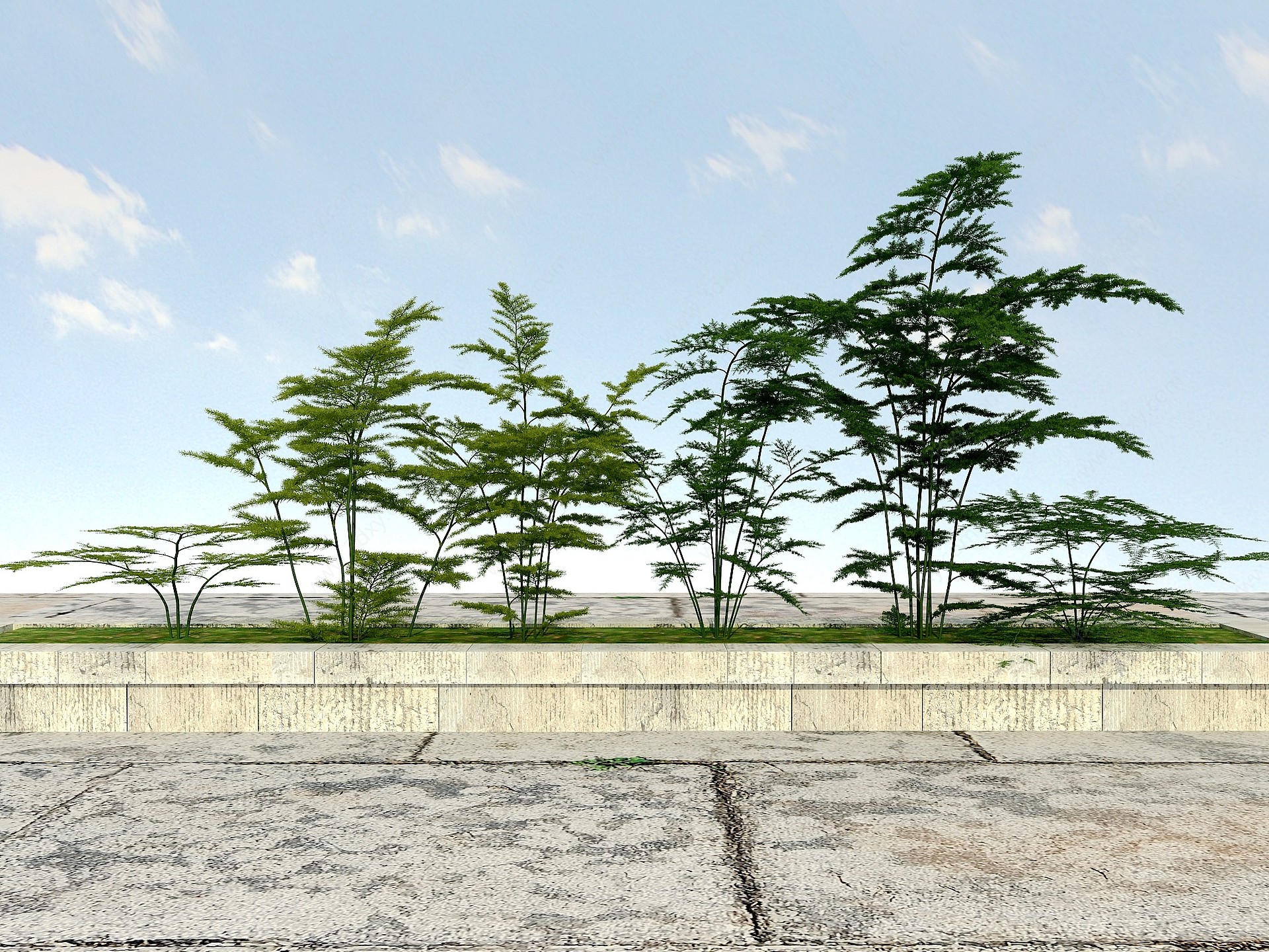 花草植物3D模型