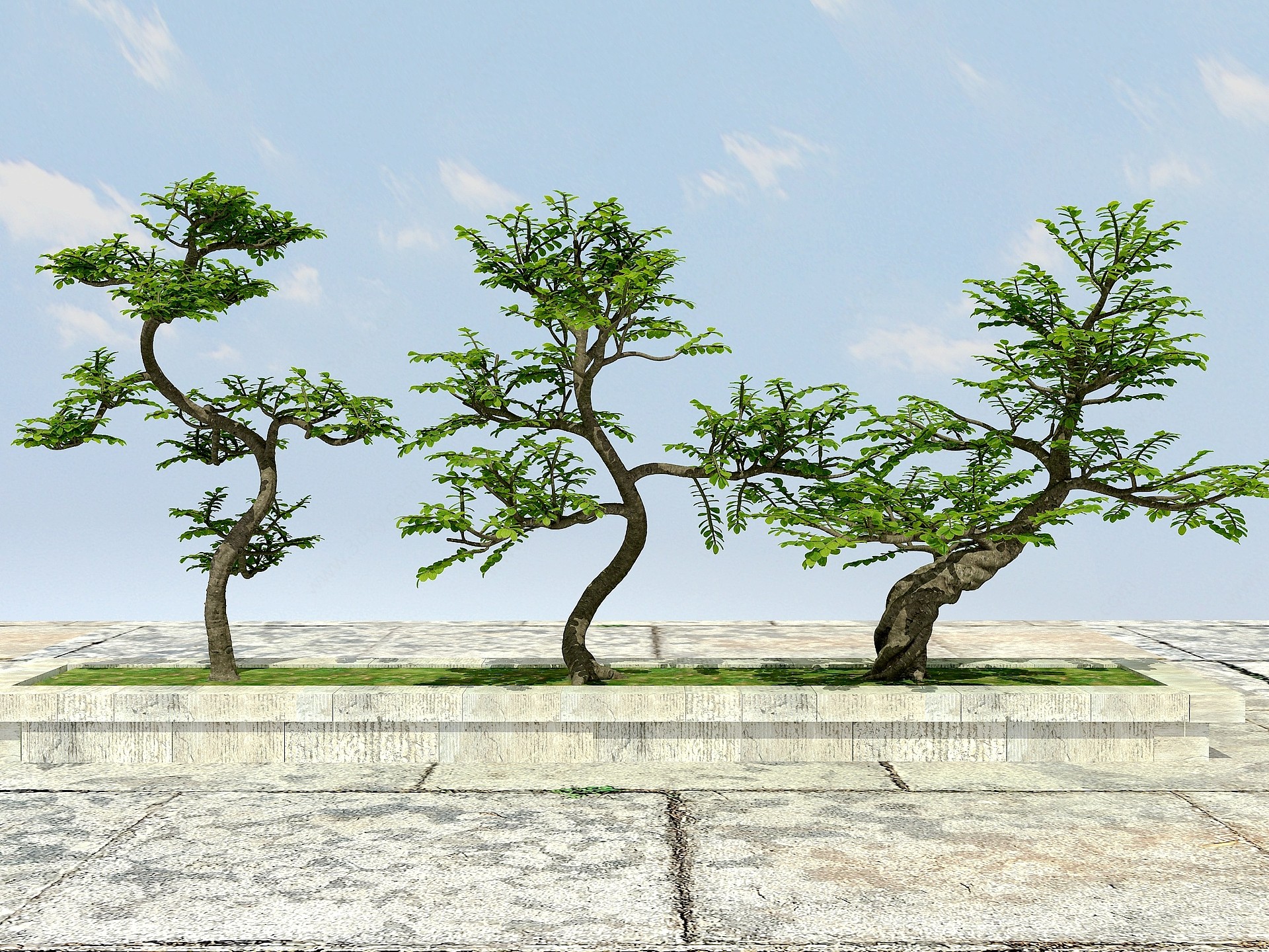 大树植物3D模型