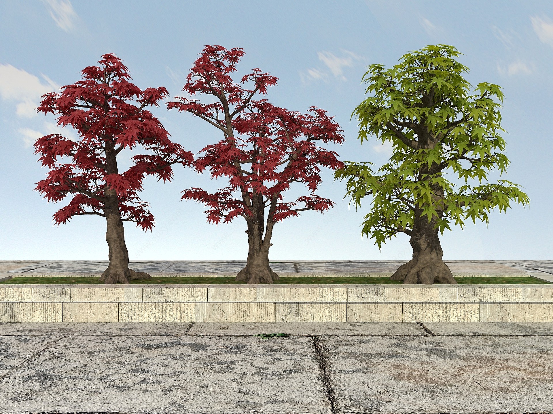 大树植物3D模型