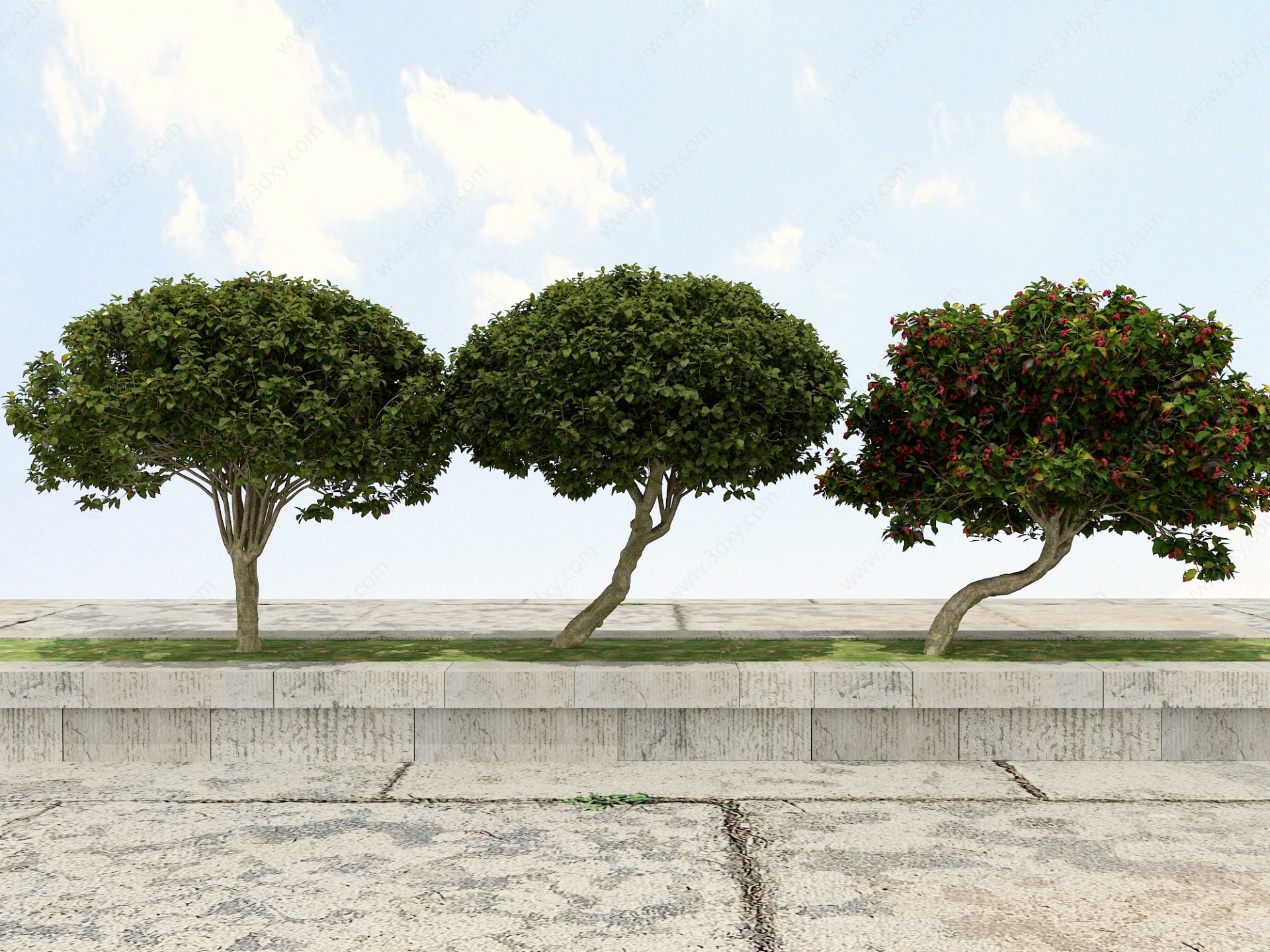 景观绿化观赏植物3D模型