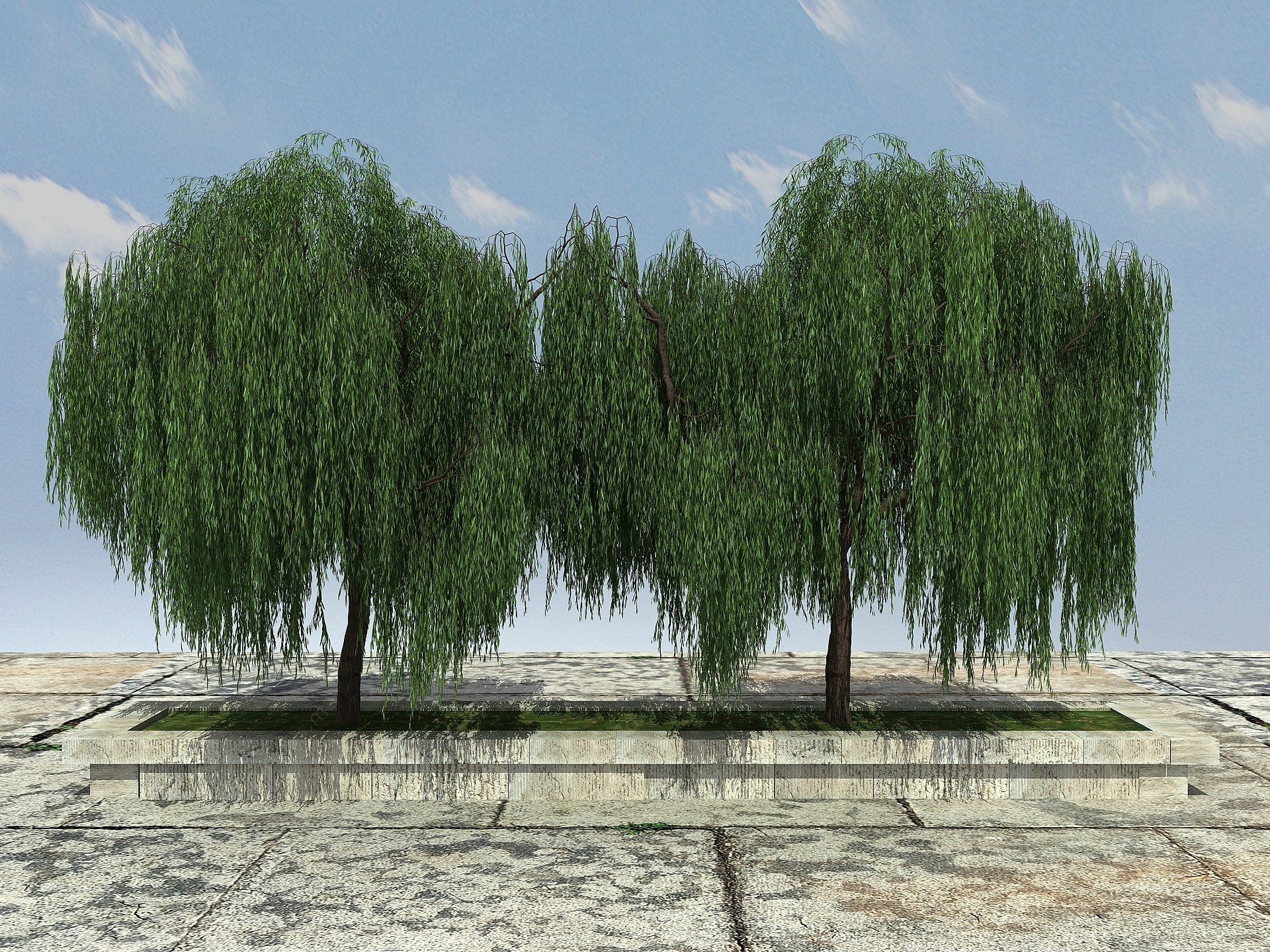 柳树植物3D模型