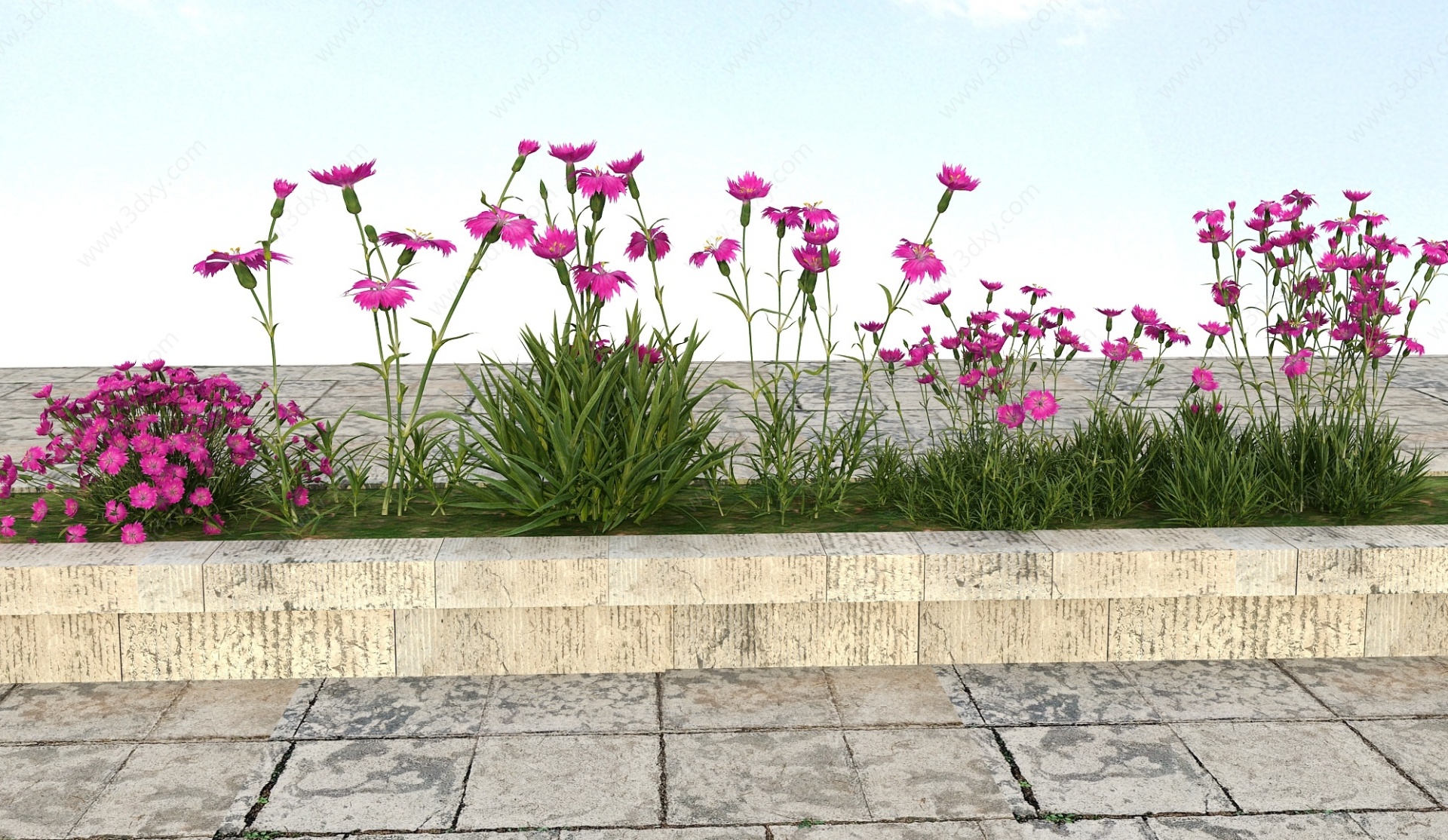 花草景观植物3D模型