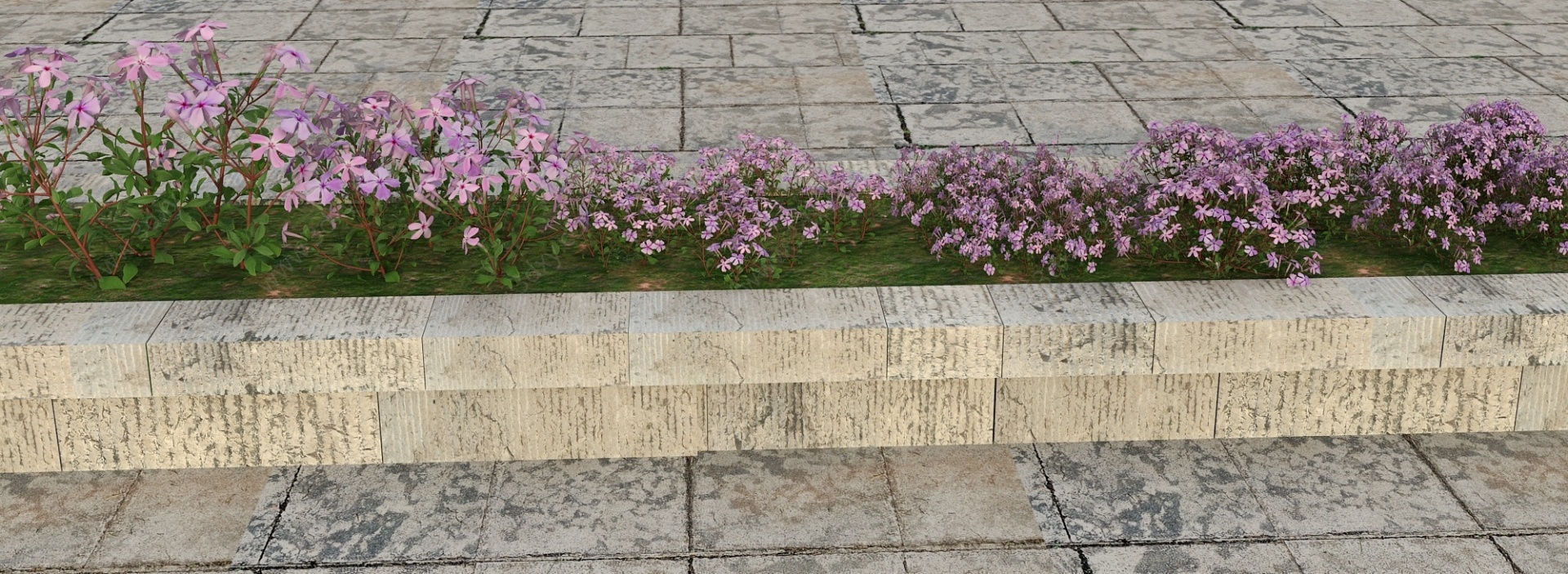 花草景观植物3D模型