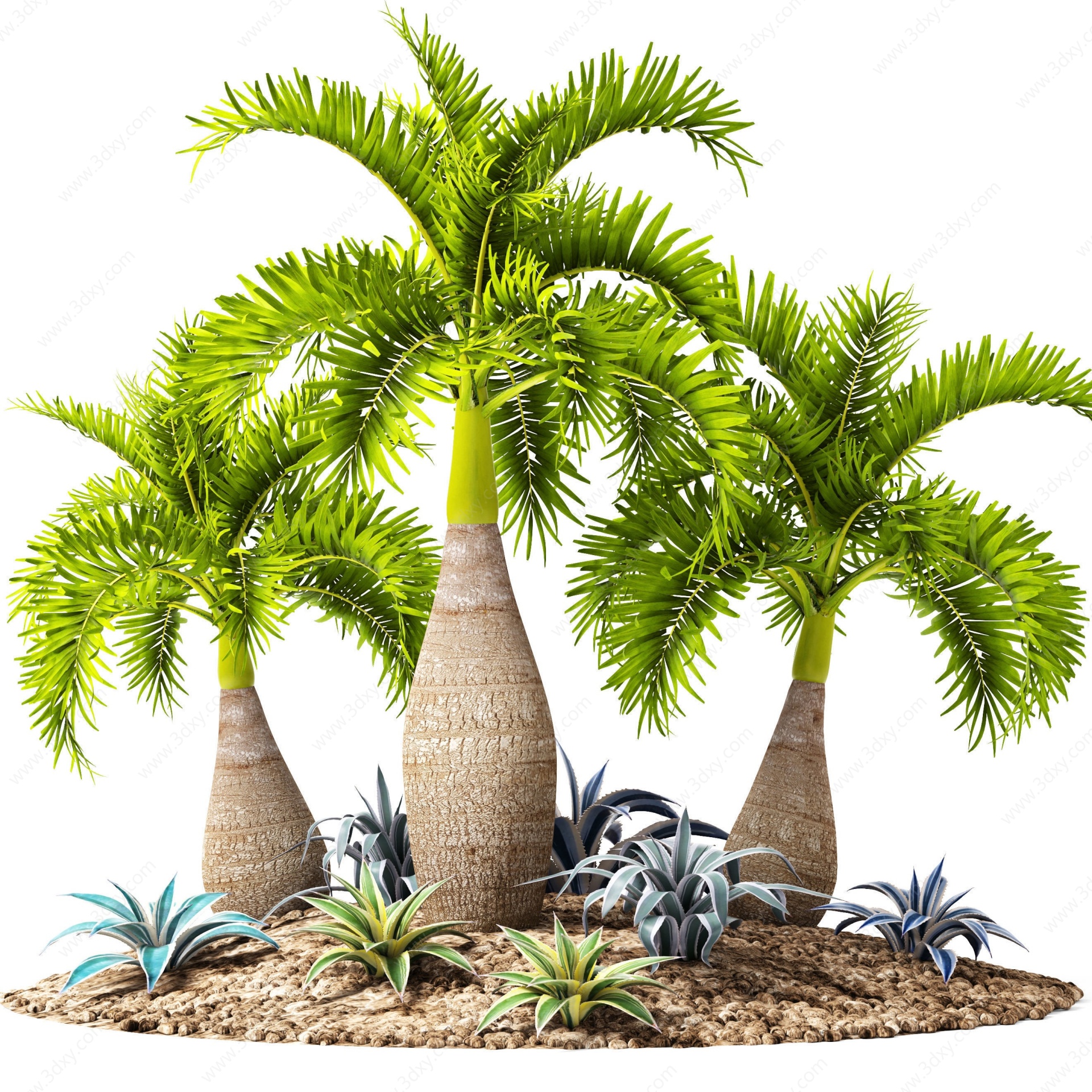 现代热带雨林棕树3D模型