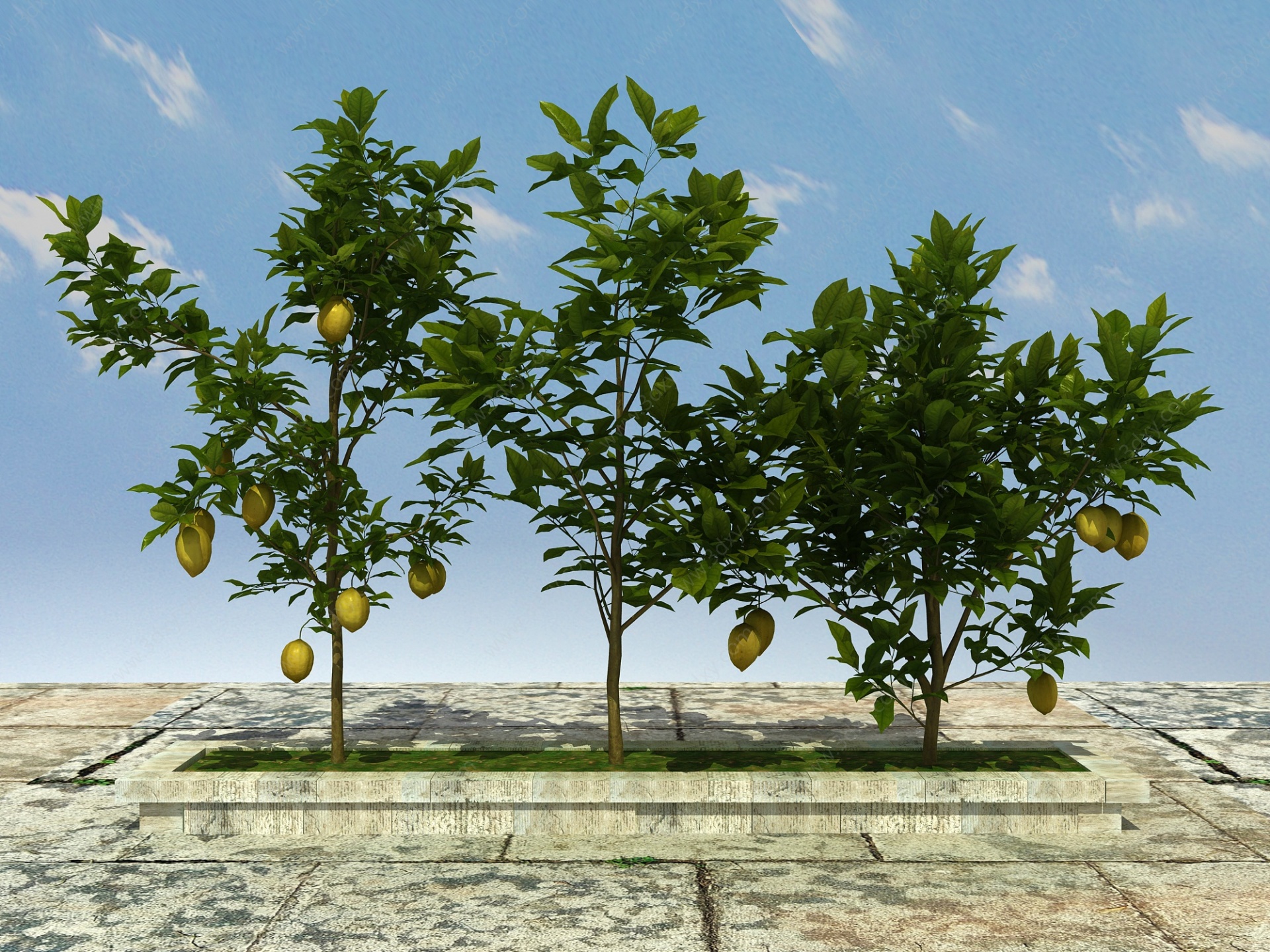果树植物3D模型