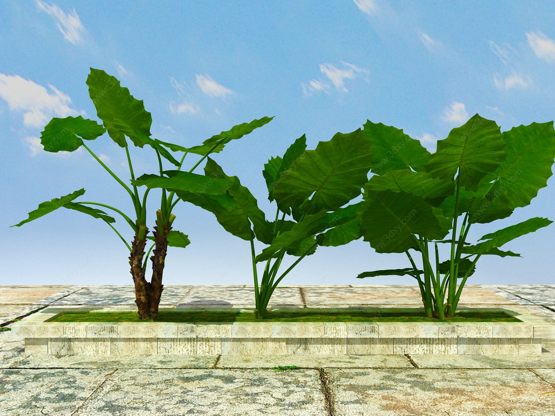 室内外景观植物3D模型