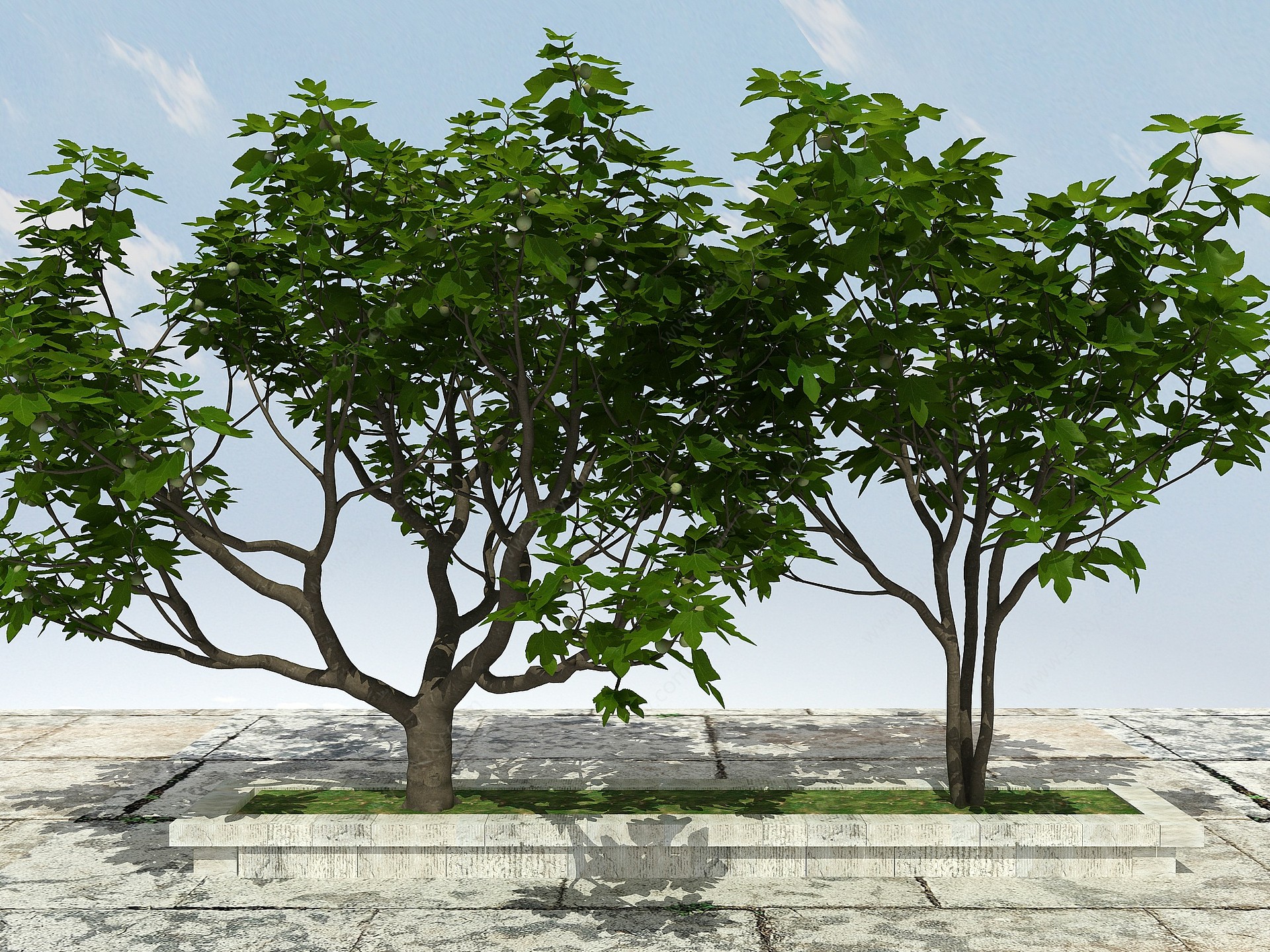 果树植物3D模型