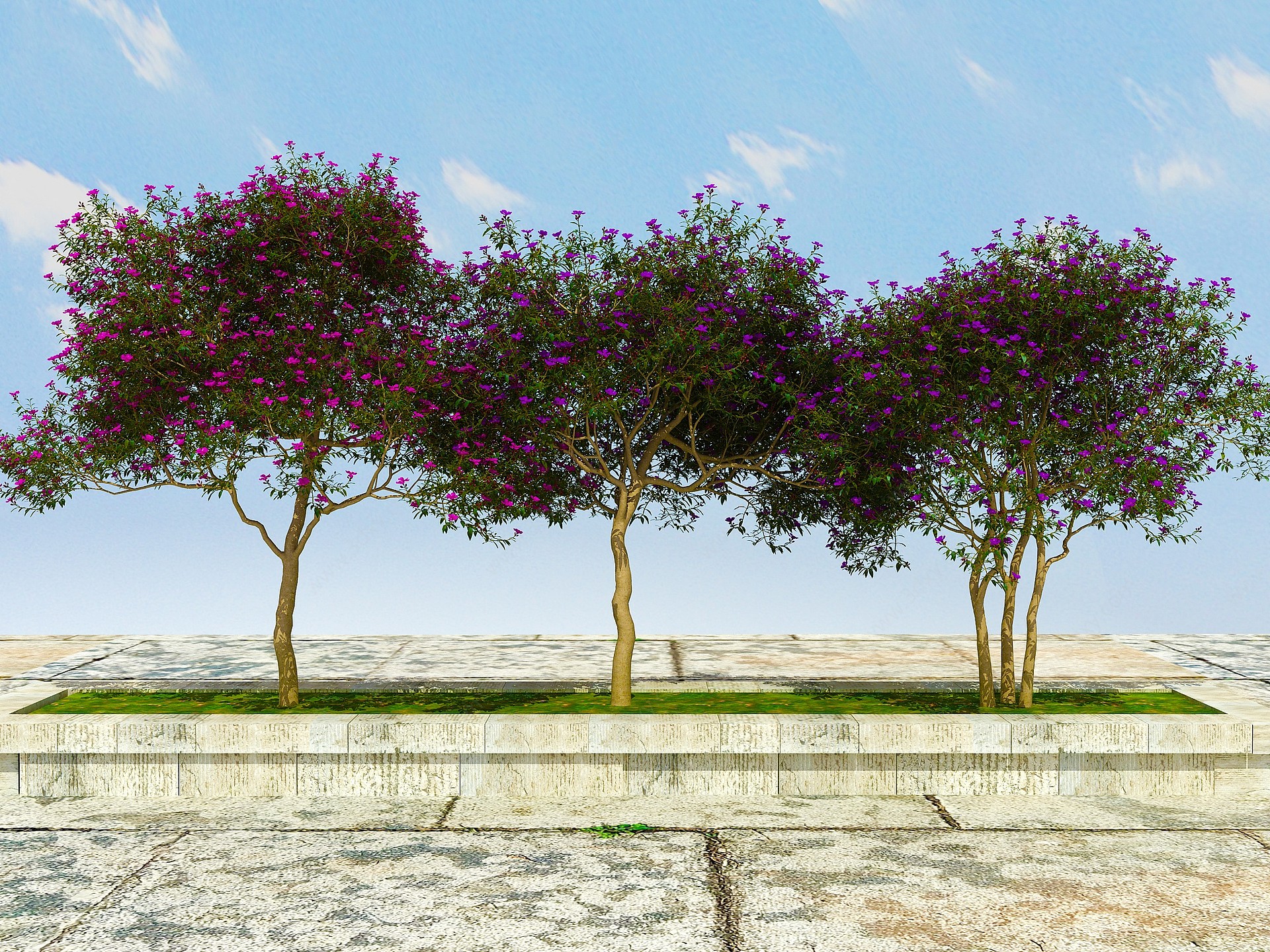 景观开花植物3D模型