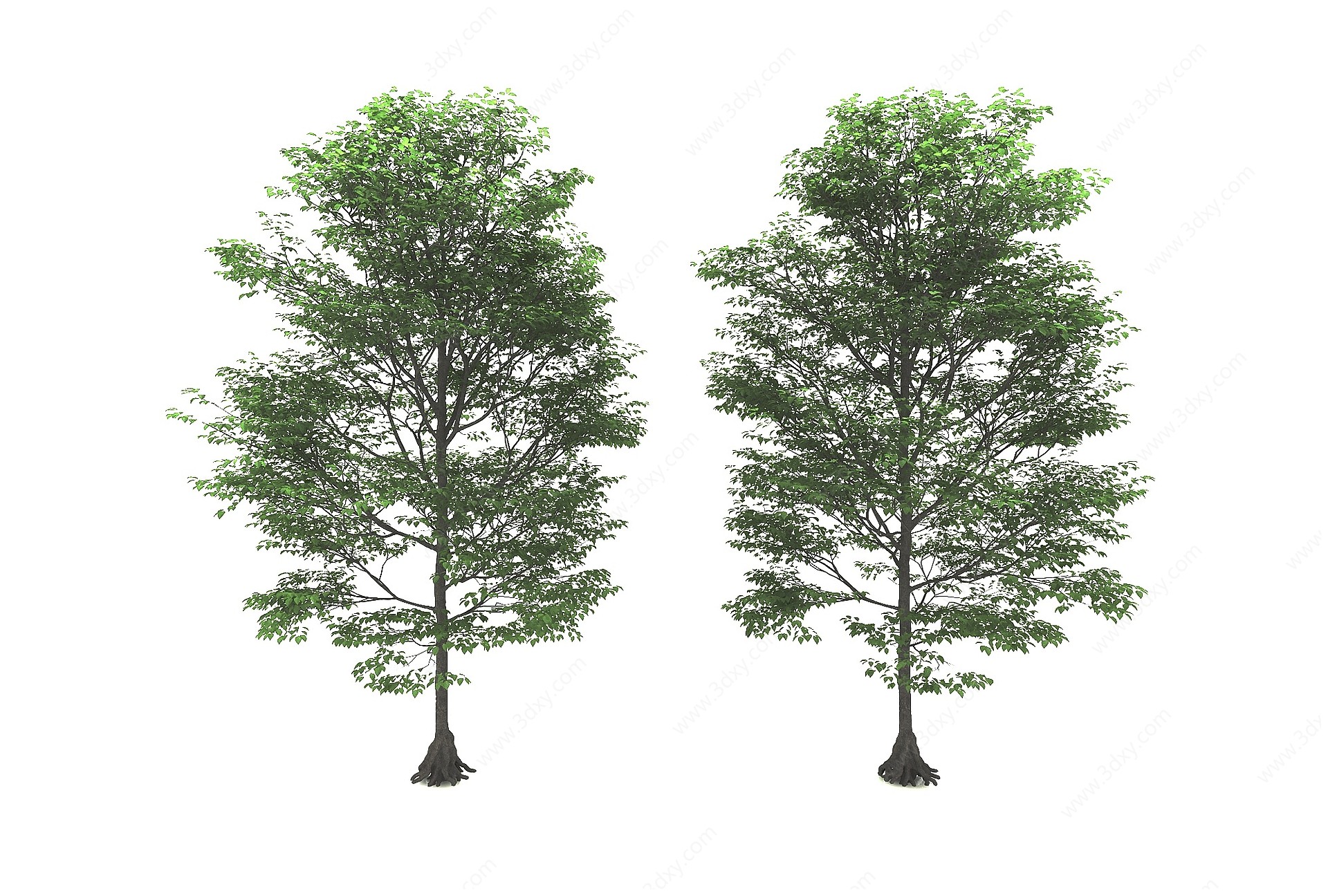 树木3D模型