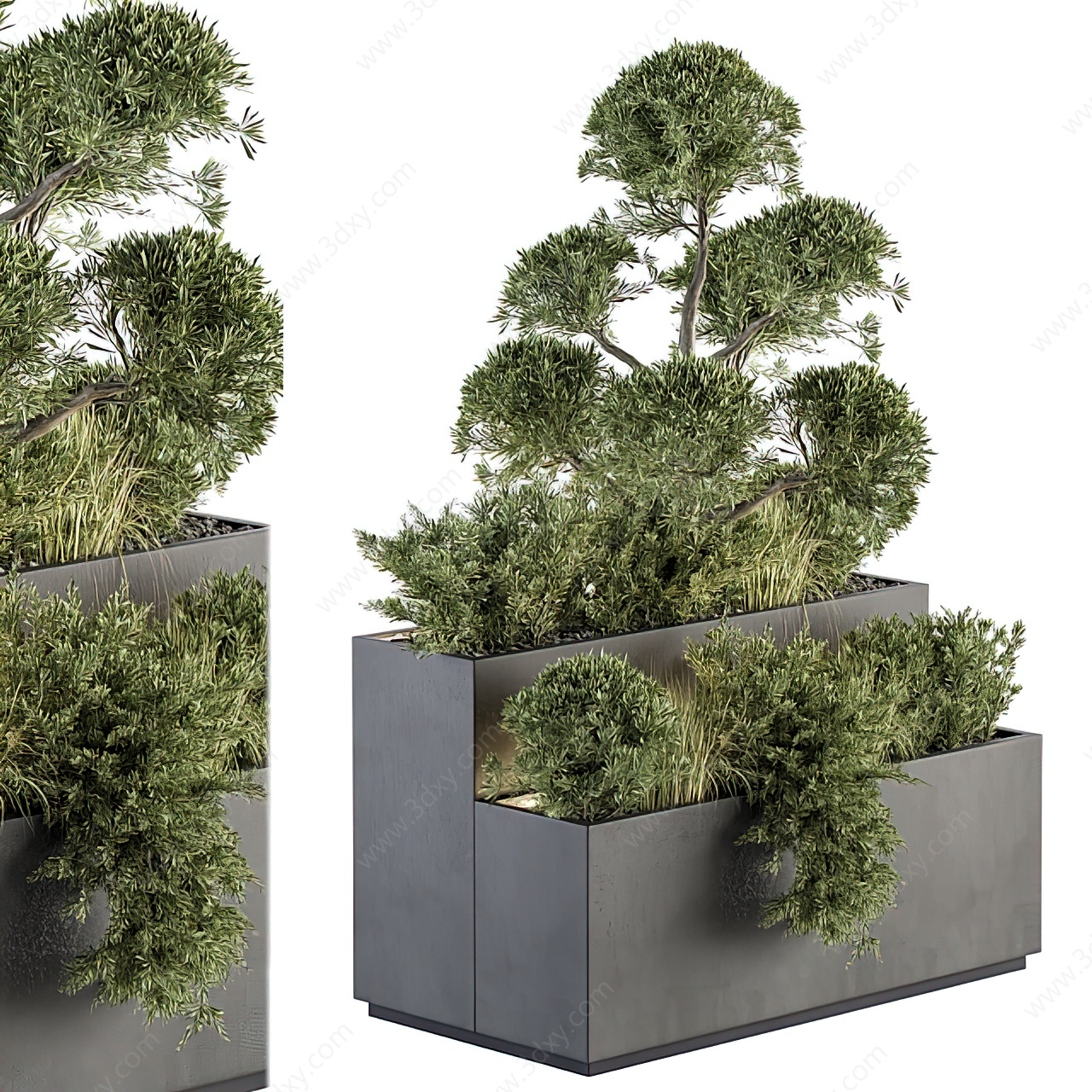 现代绿植花箱盆栽3D模型