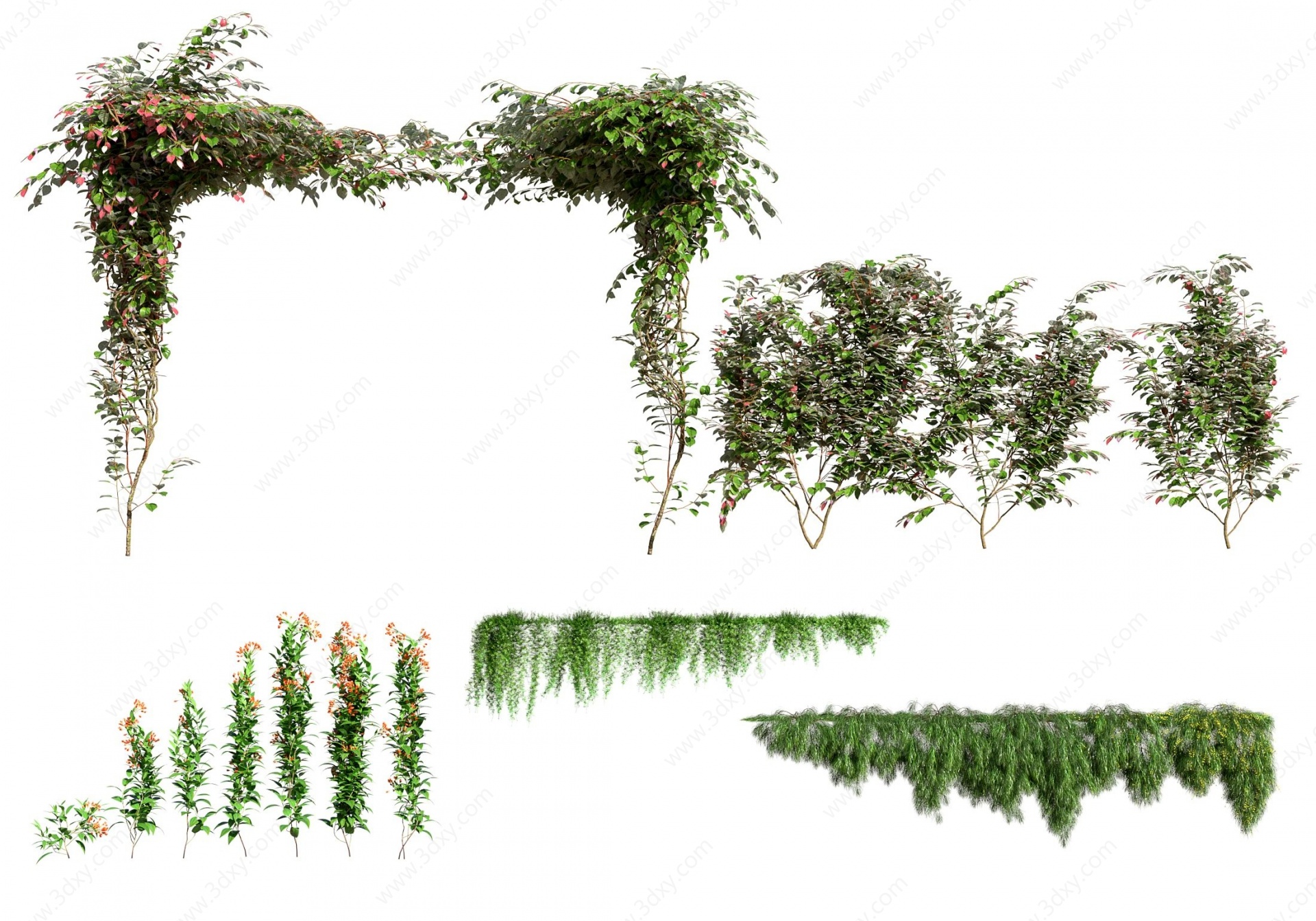 现代縢蔓植物3D模型