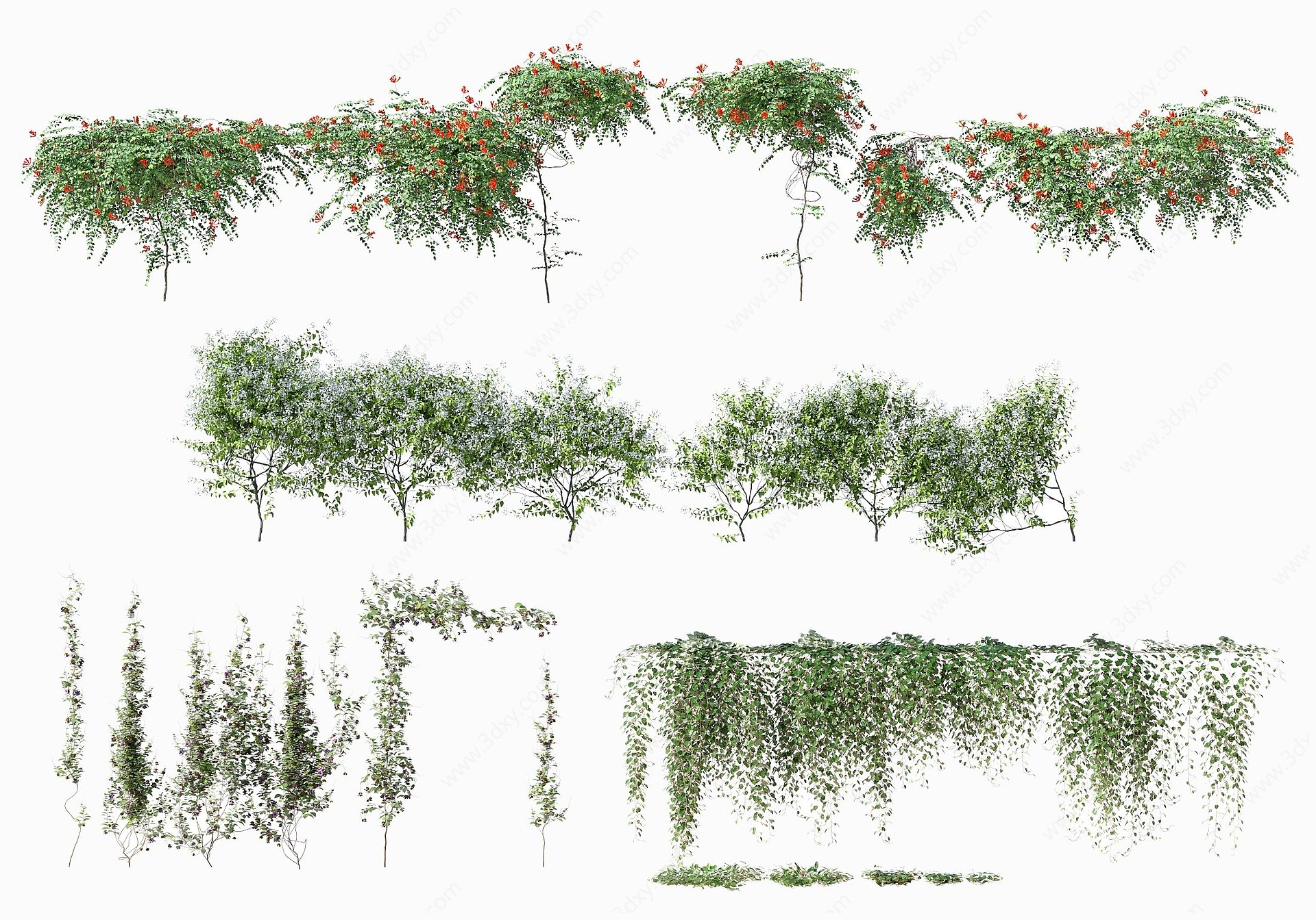 现代縢蔓植物3D模型