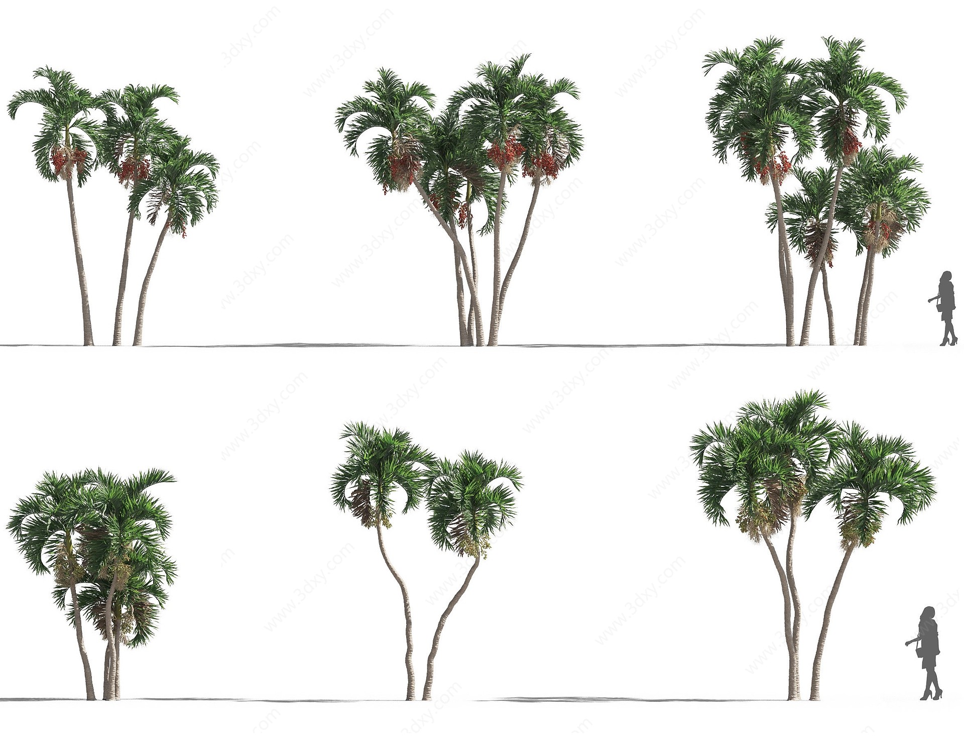 现代植物树木圣诞椰3D模型
