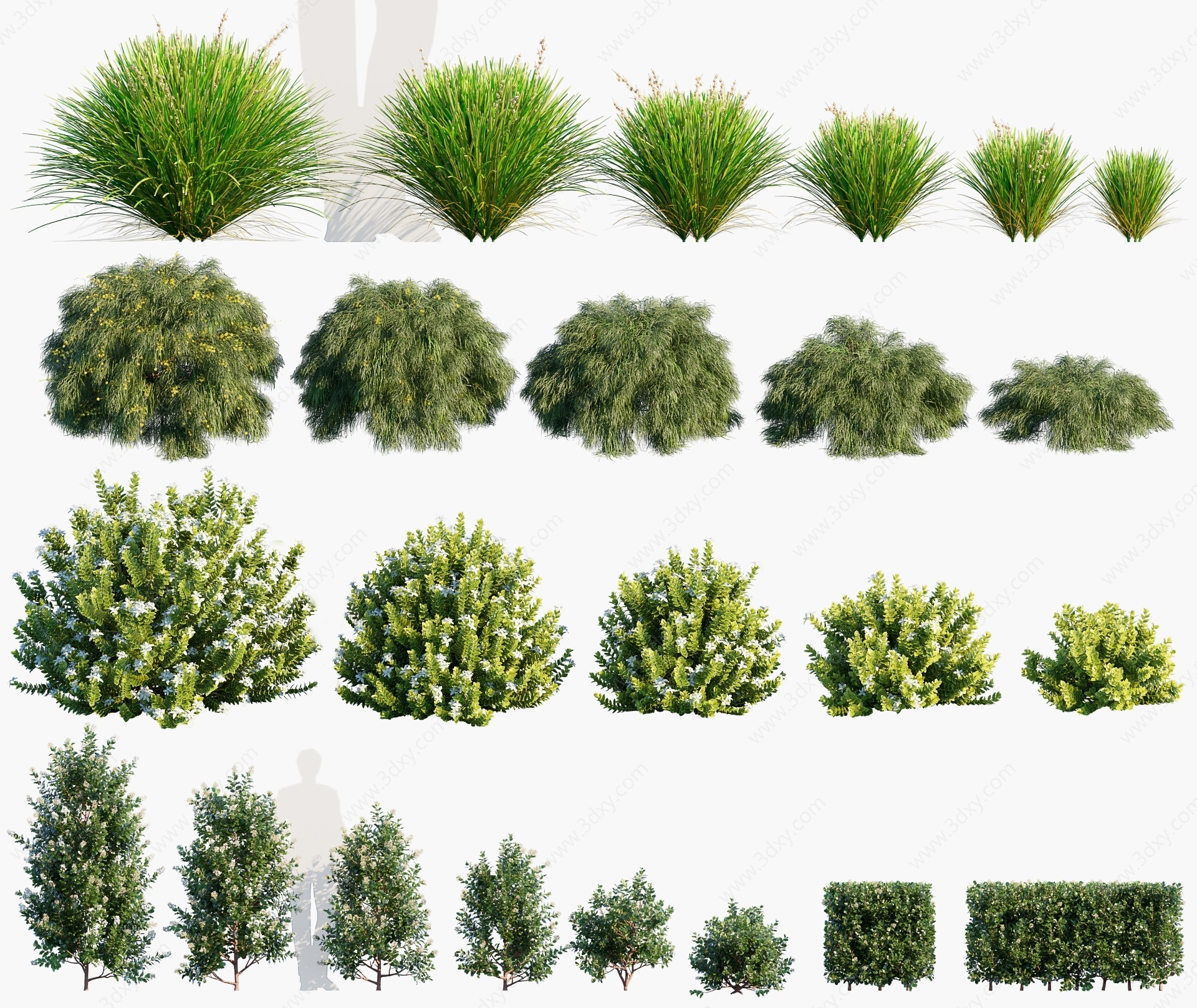 现代植物树木花草3D模型