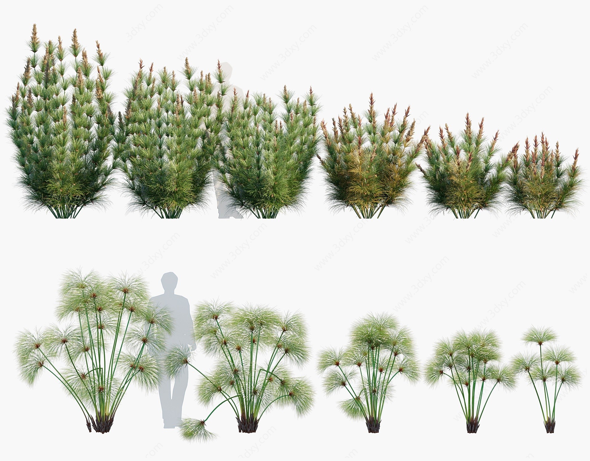 现代植物花草3D模型