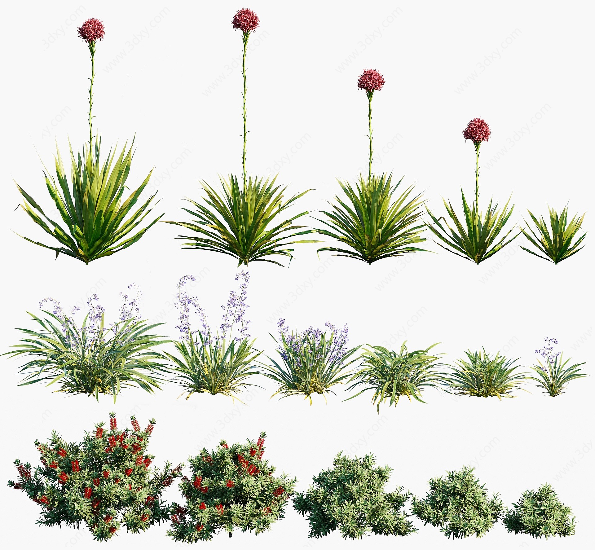 现代植物灌木花草红3D模型