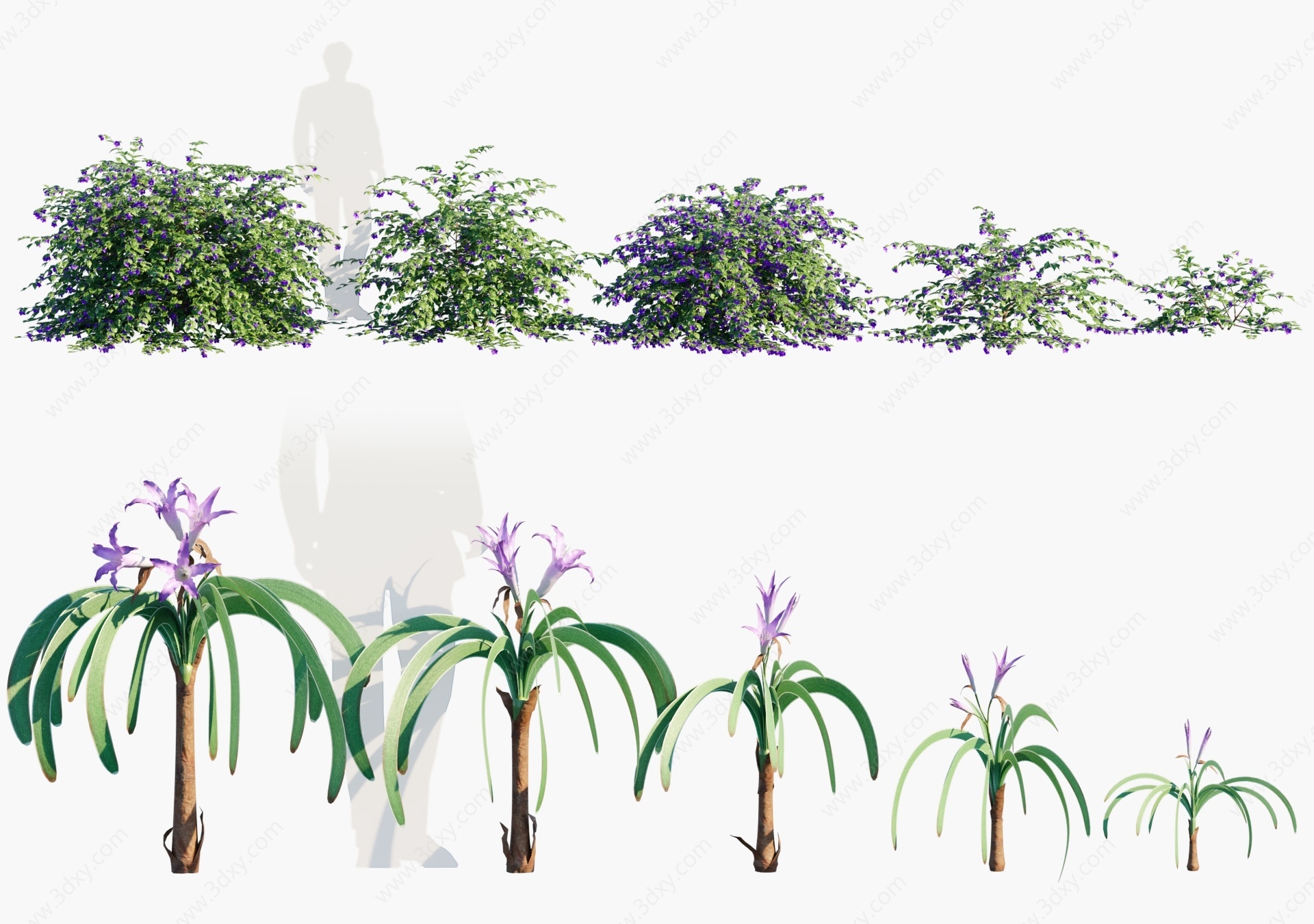 现代植物花卉3D模型