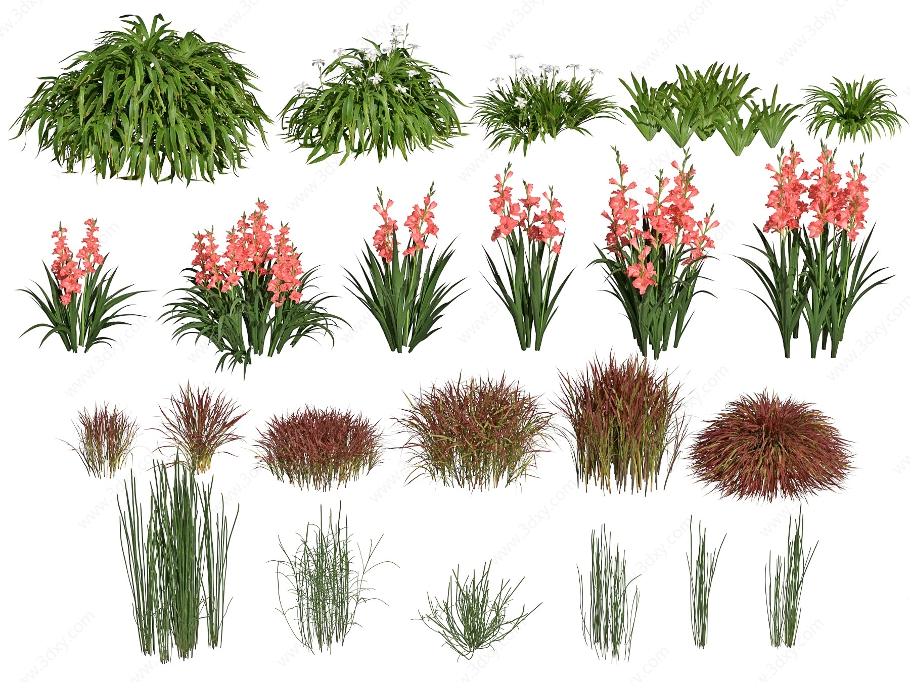 现代植物花草花卉3D模型