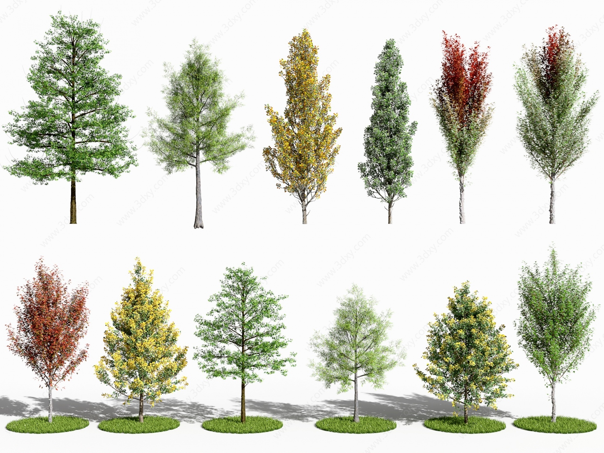 现代植物树木3D模型