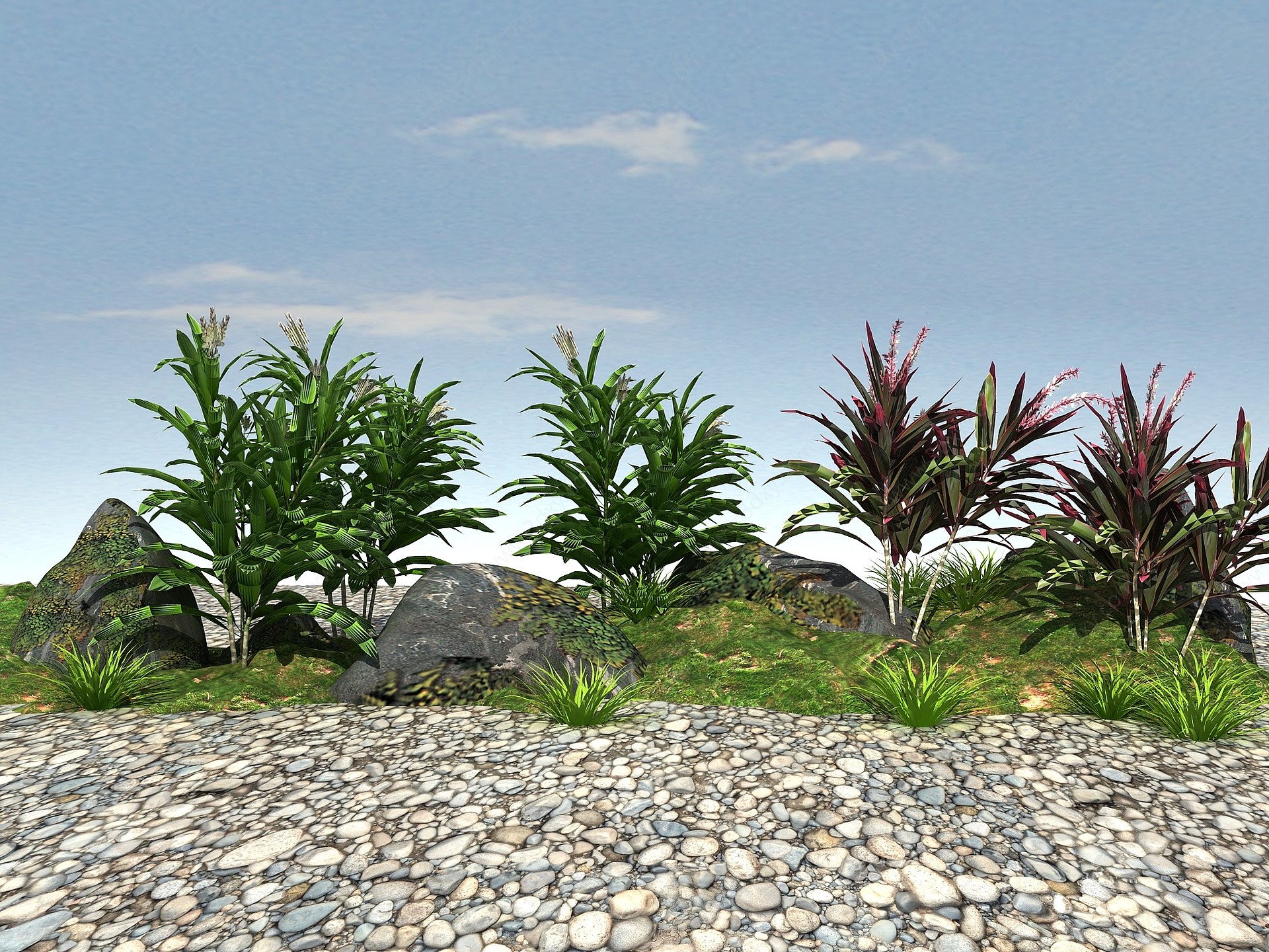 常绿景观植物3D模型