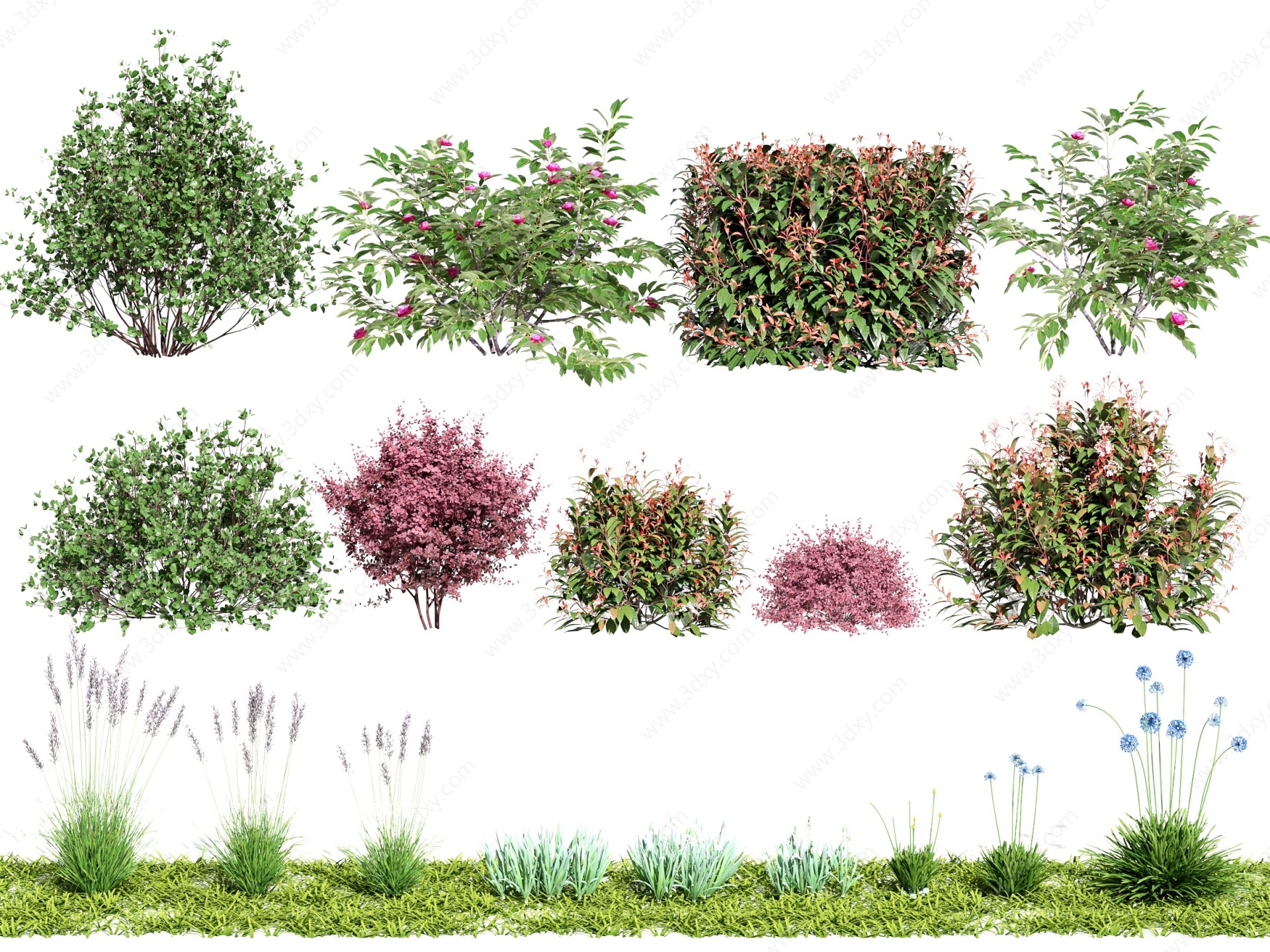现代植物灌木花草3D模型