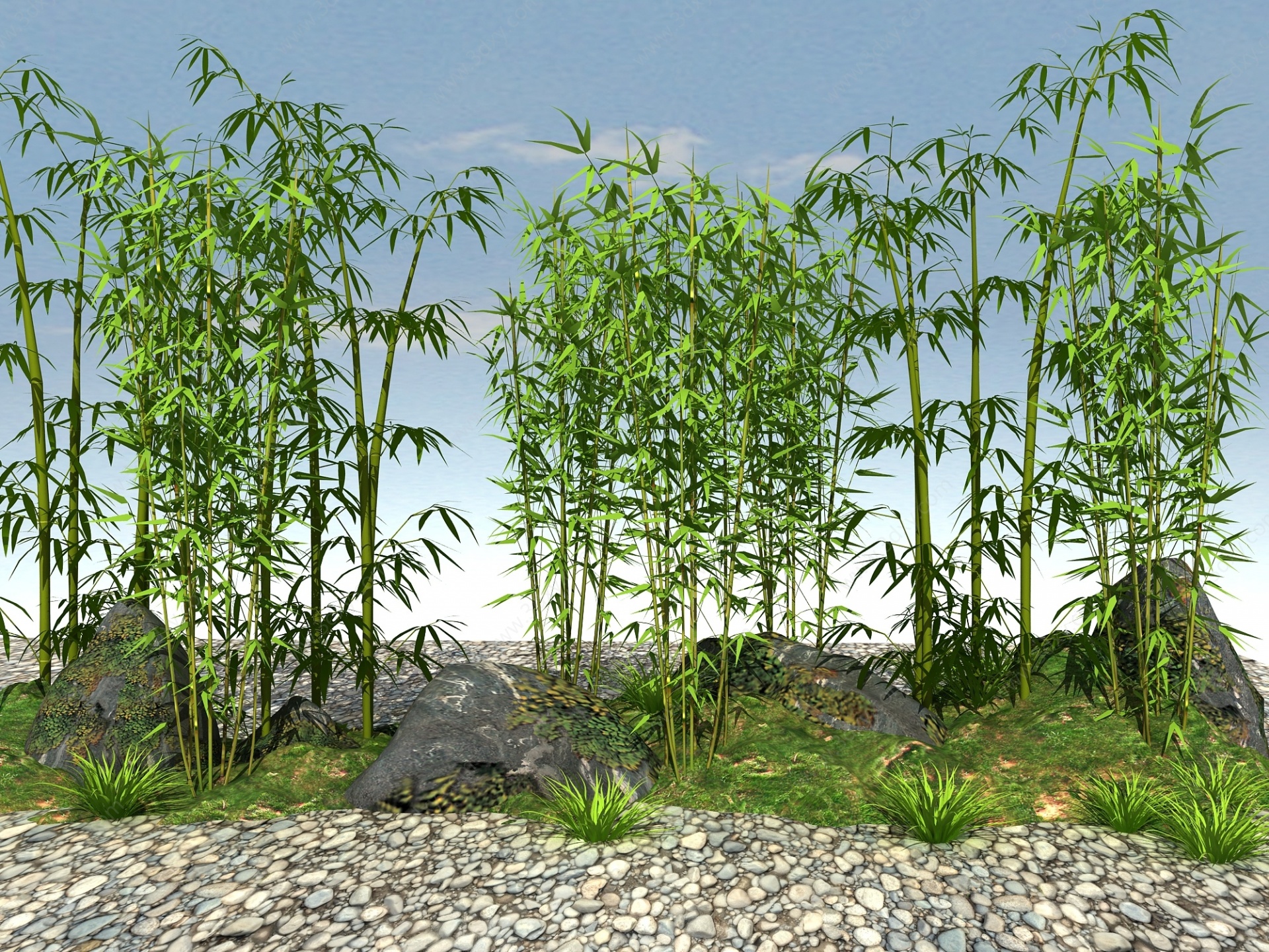 竹子3D模型