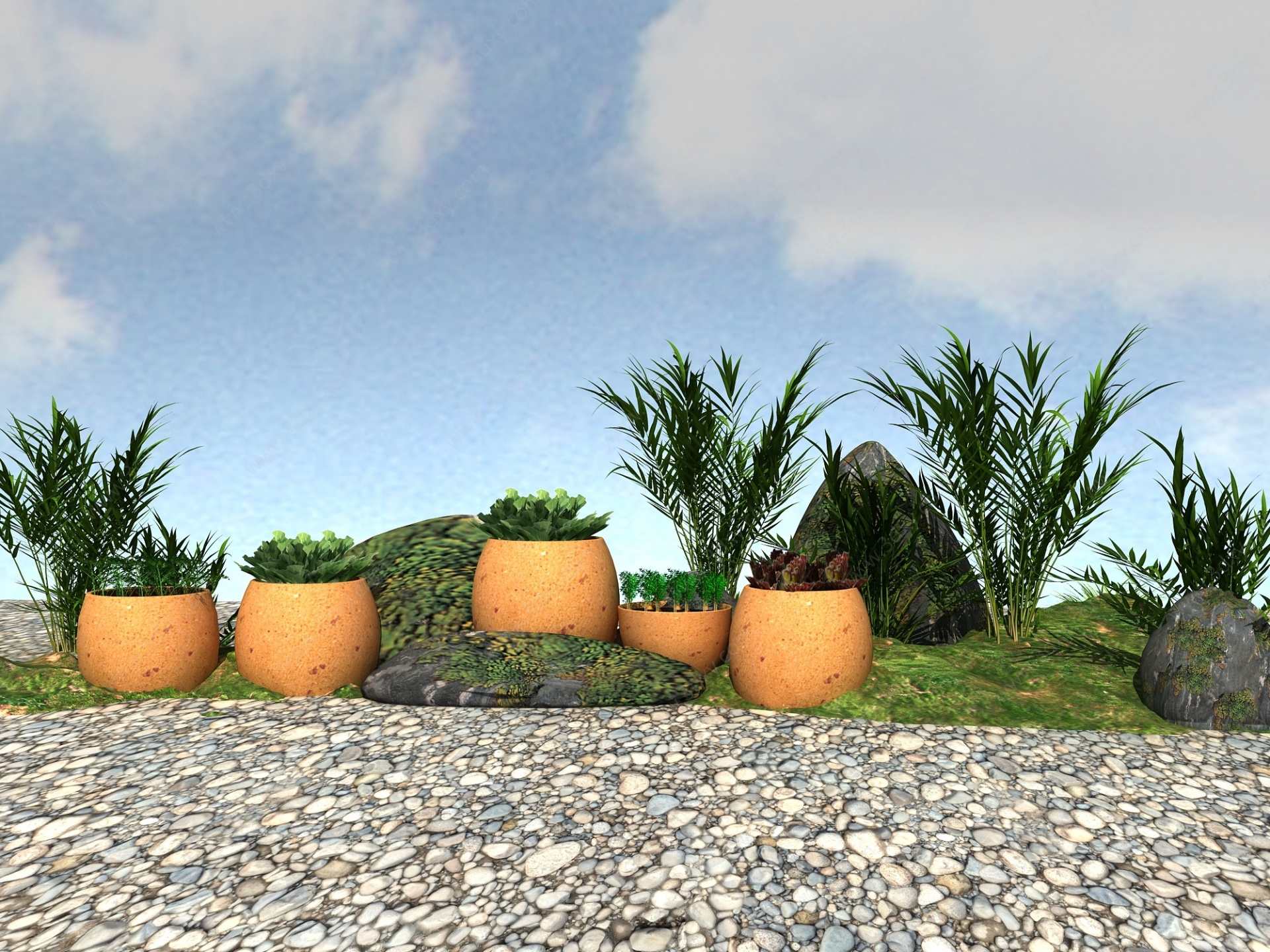景观植物3D模型