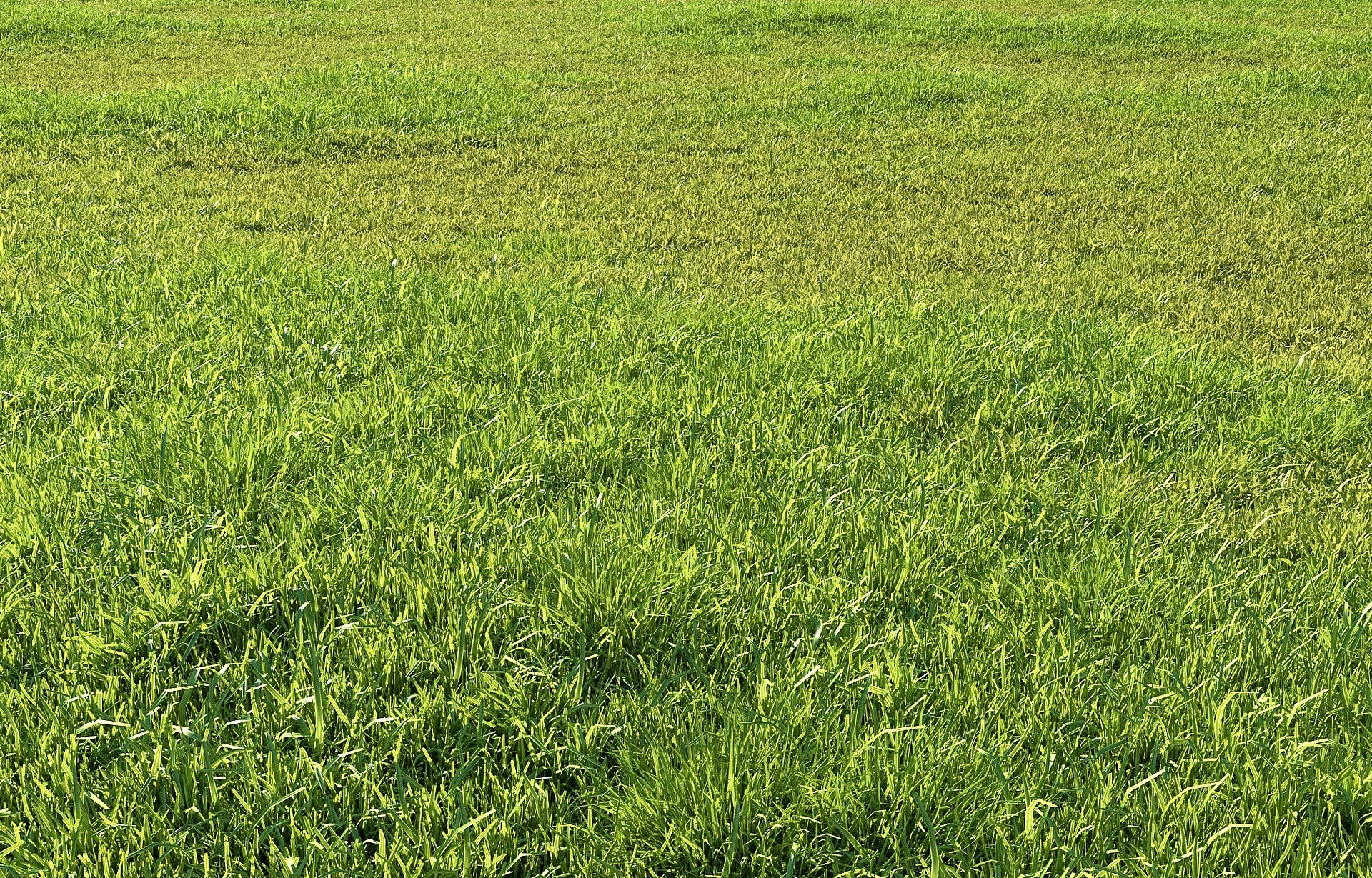 现代草坪草地3D模型