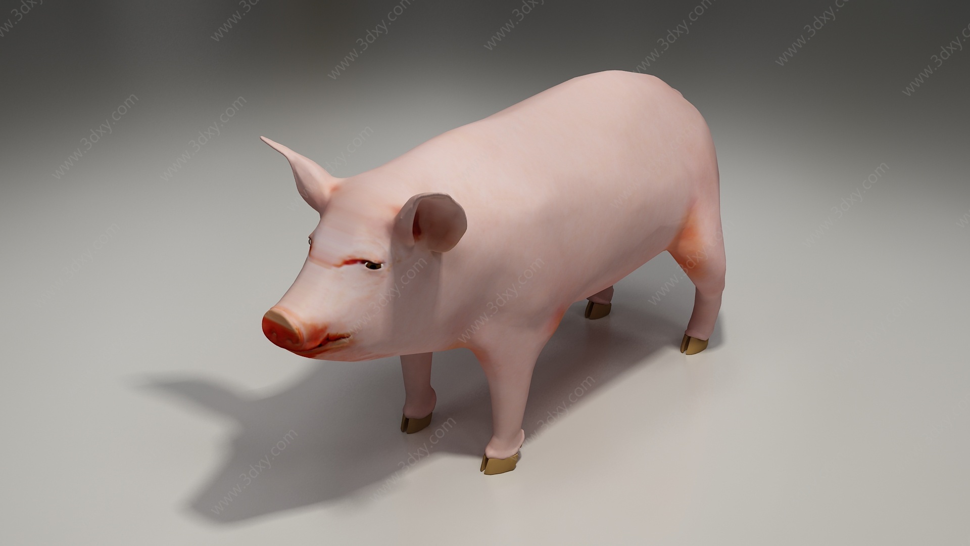 肉猪3D模型