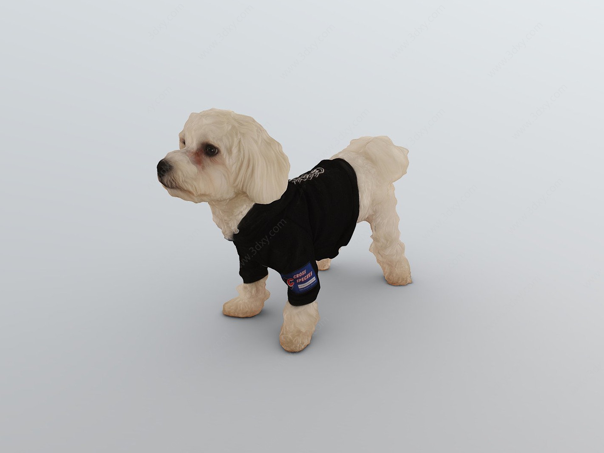 可爱宠物狗3D模型