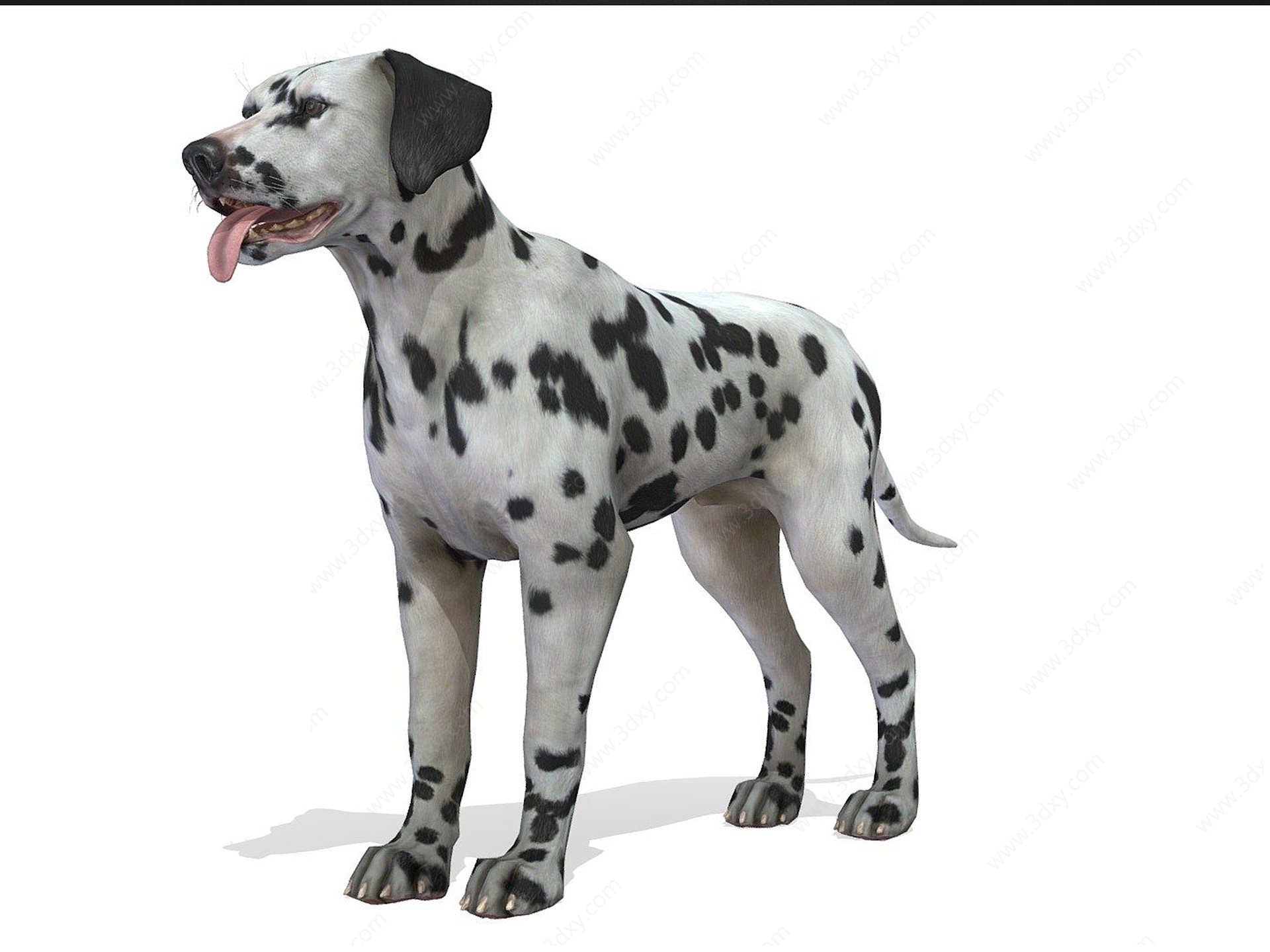 可爱斑点狗3D模型