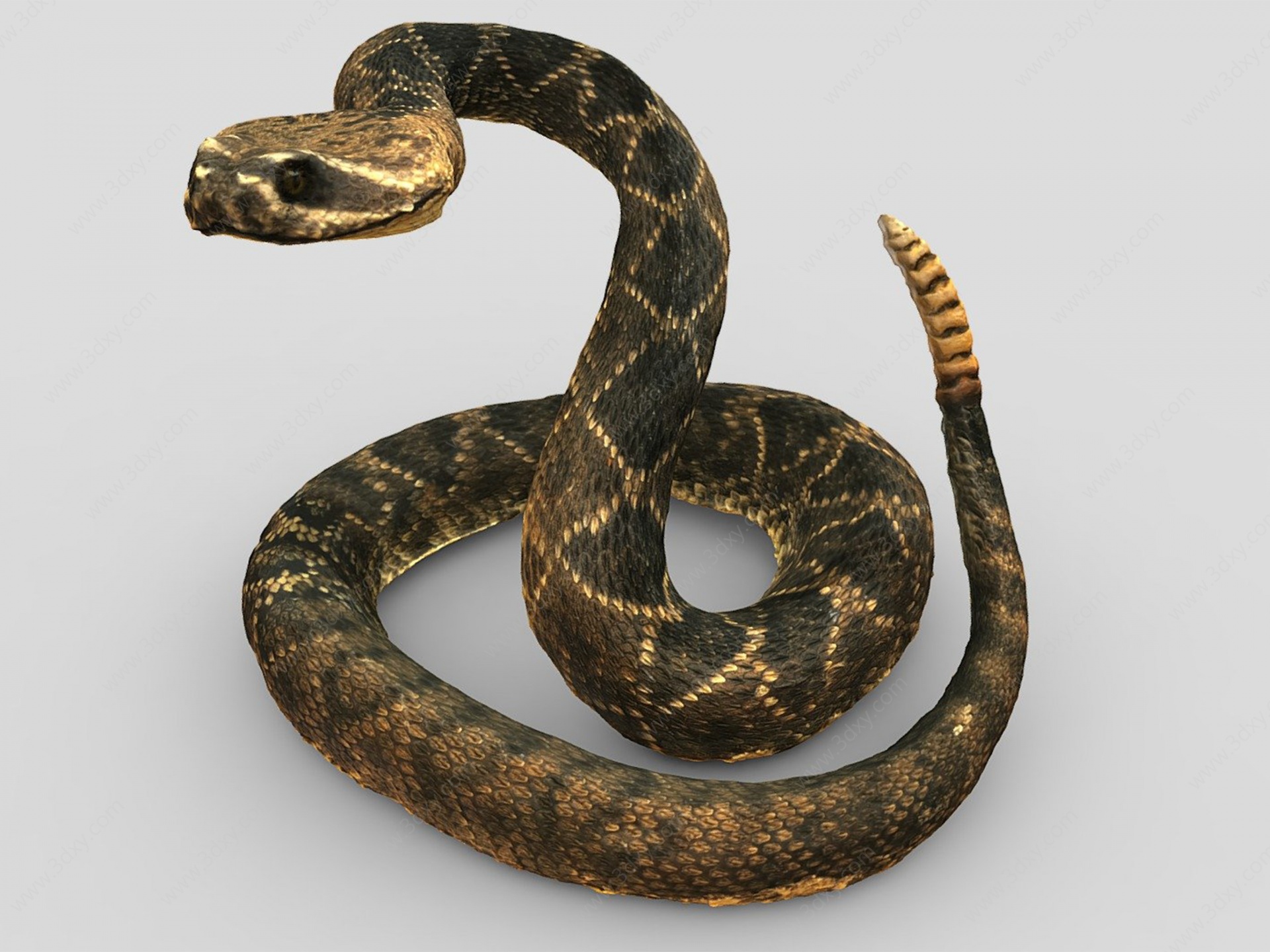 逼真蛇3D模型