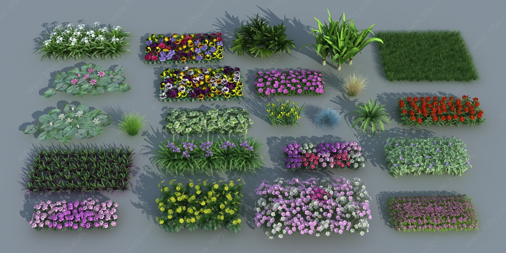 现代花草灌木3D模型
