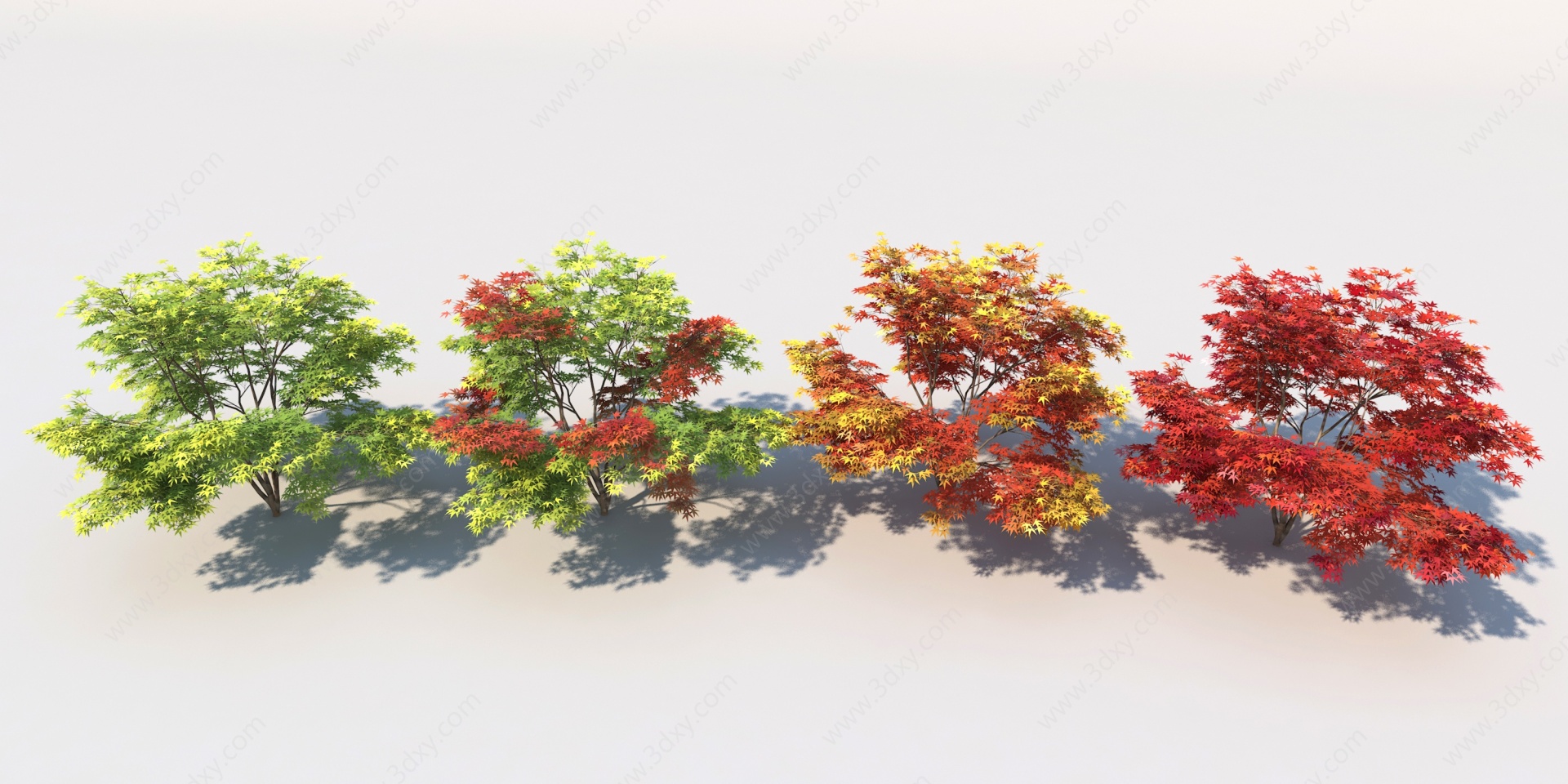 新中式树灌木3D模型