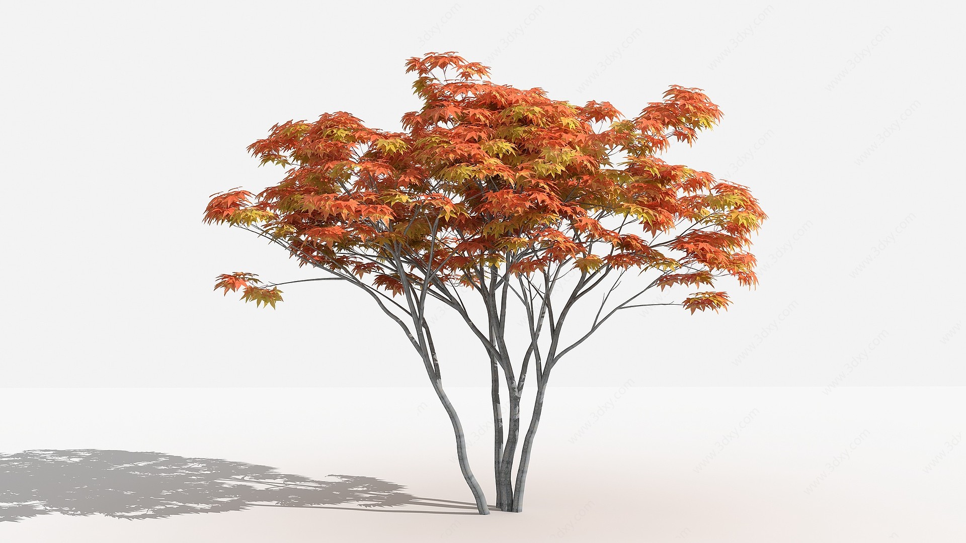 中式红枫灌木3D模型