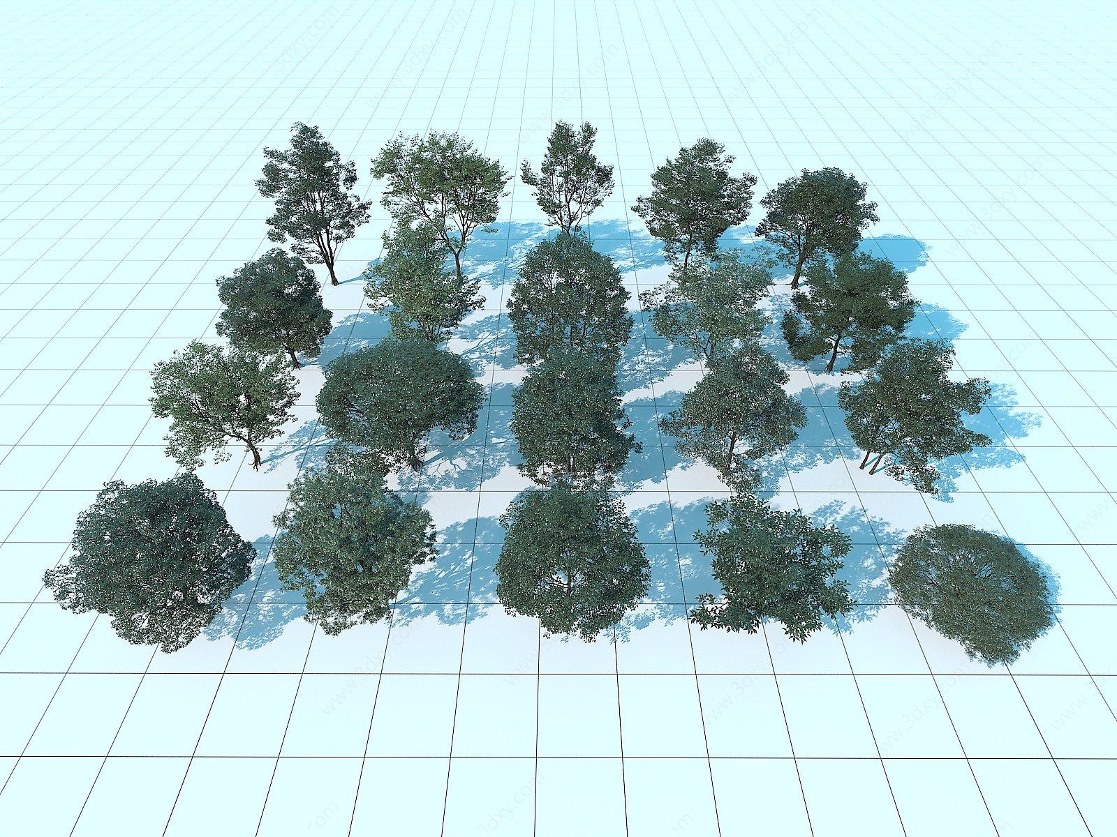 庭院树3D模型